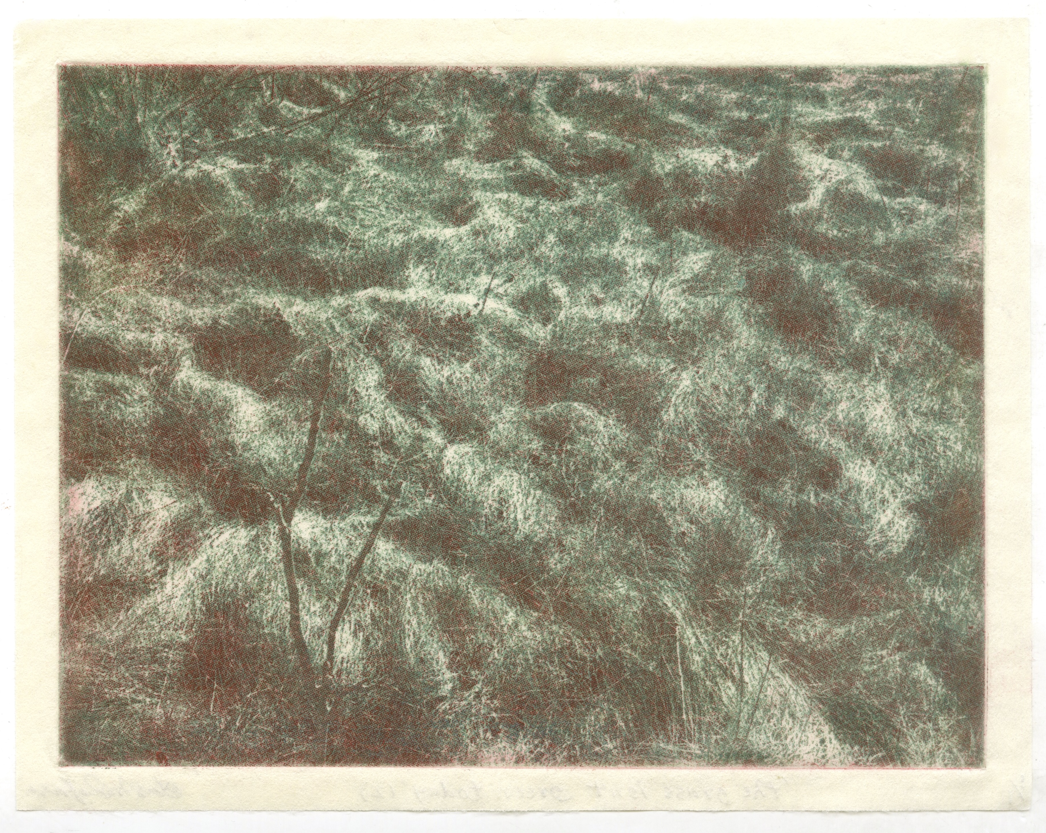 the grass isn't green today