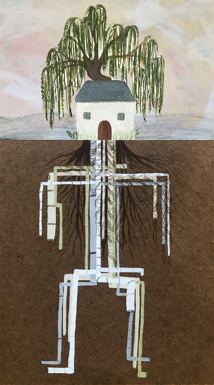 Coronary Artery Disease/Willow Trees