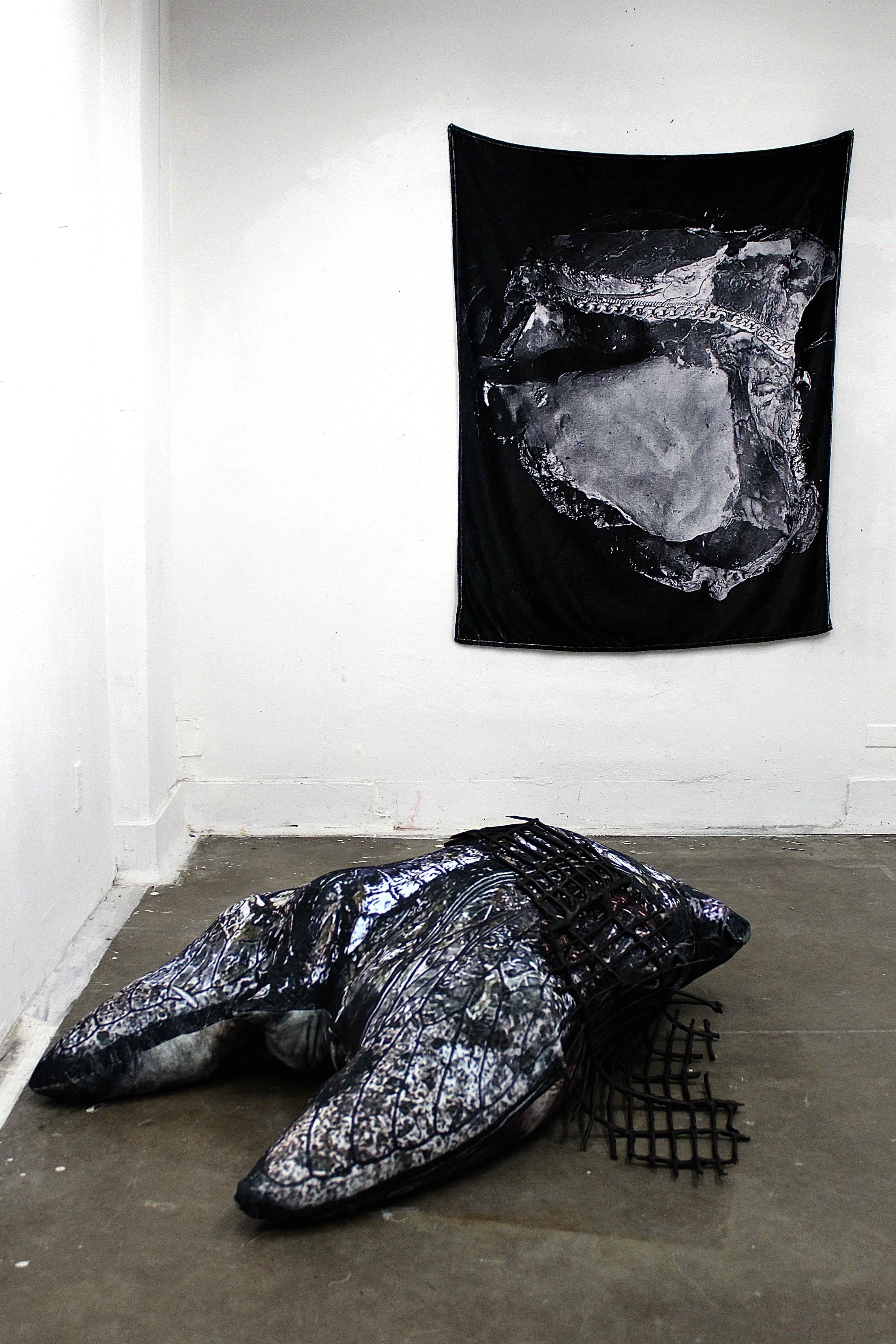 Imago Dei (Installation View)