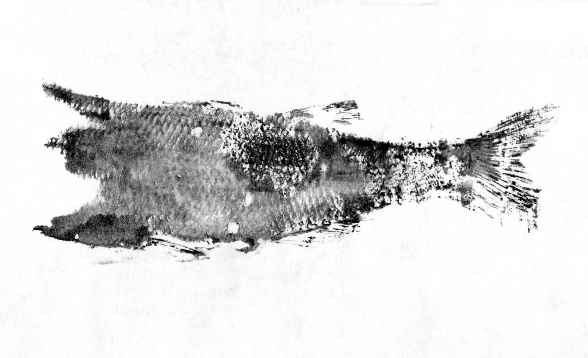 Fish Prints
