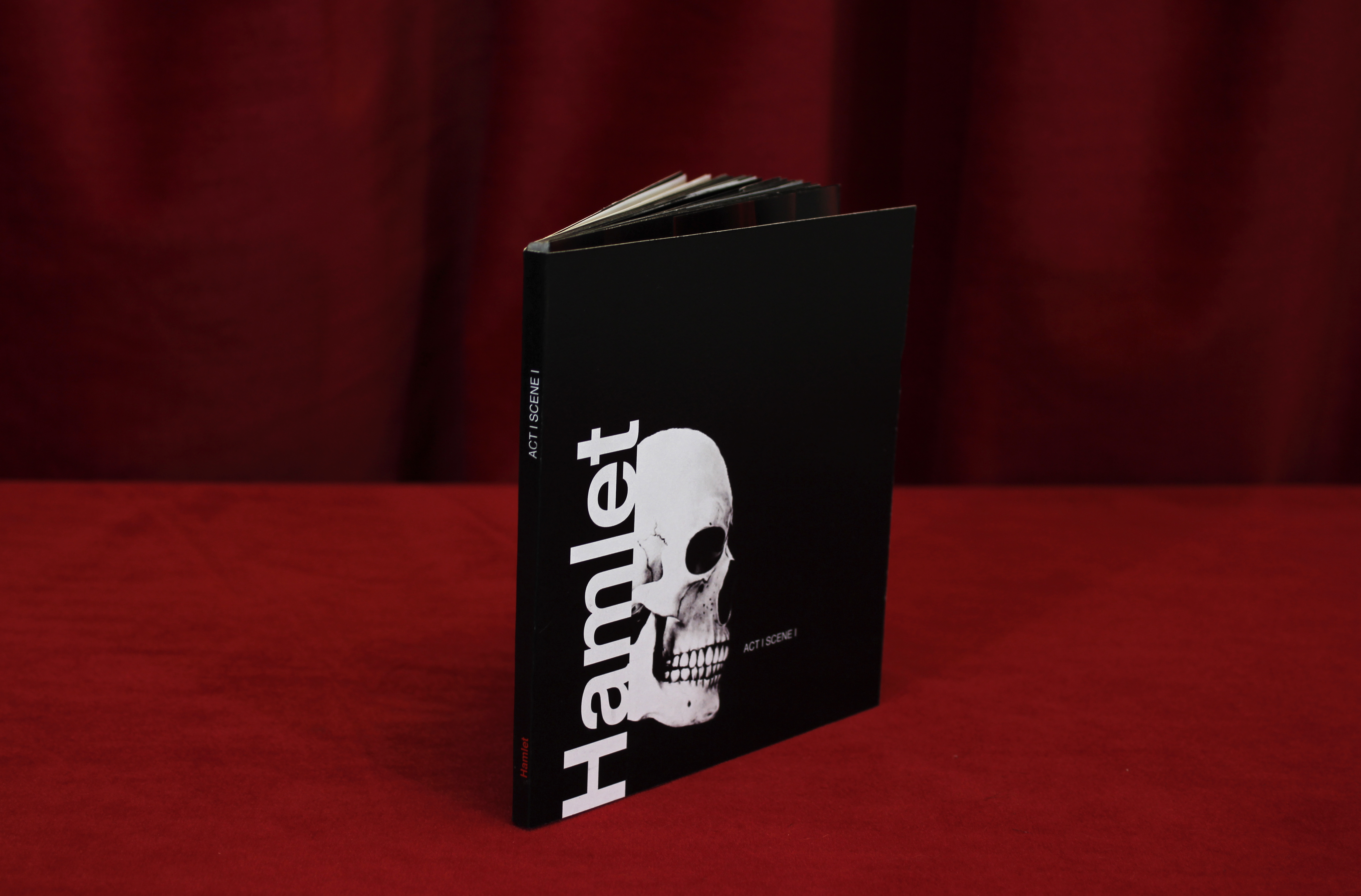 Hamlet (Shakespeare: From Stage to Page)