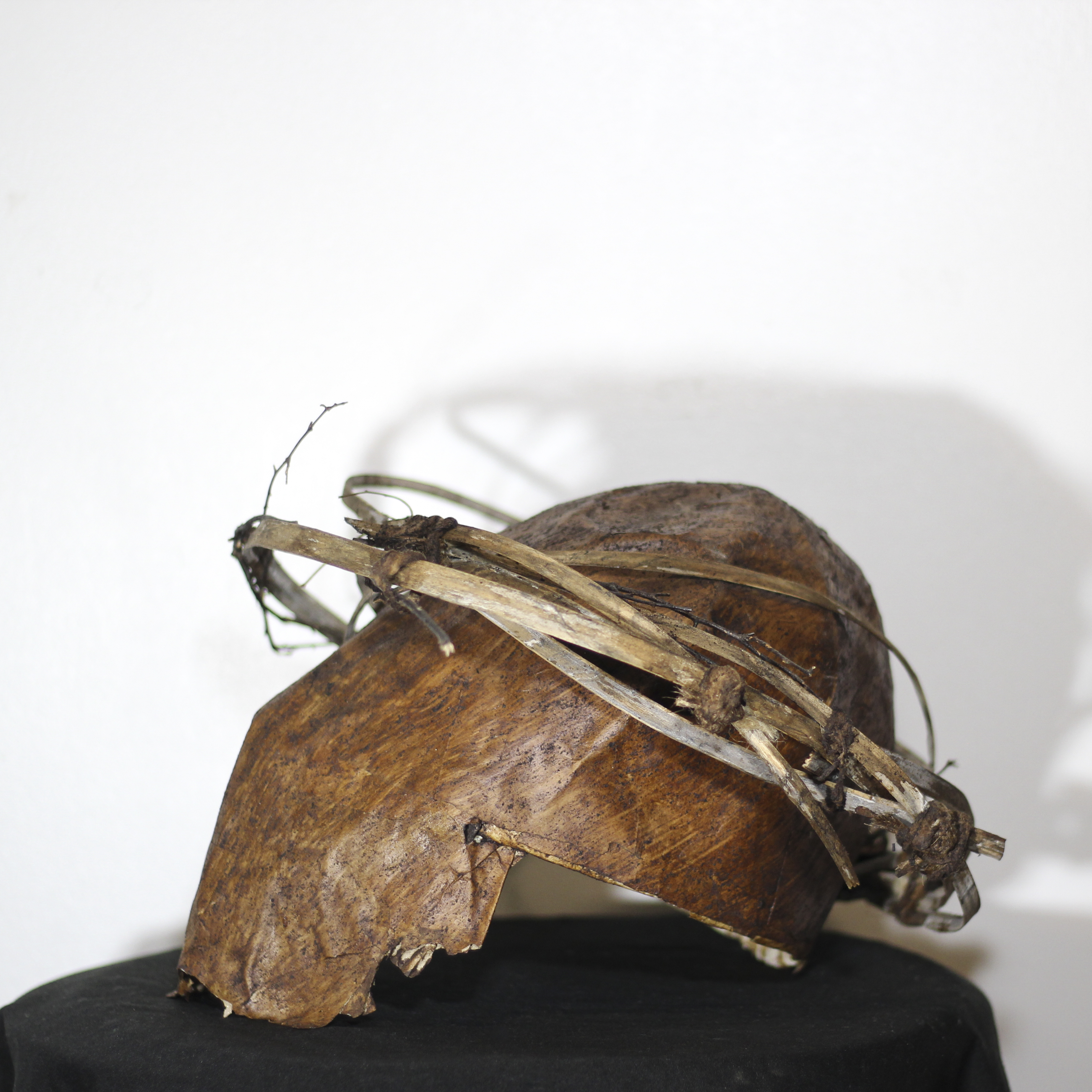 Unmasking Depression Mask