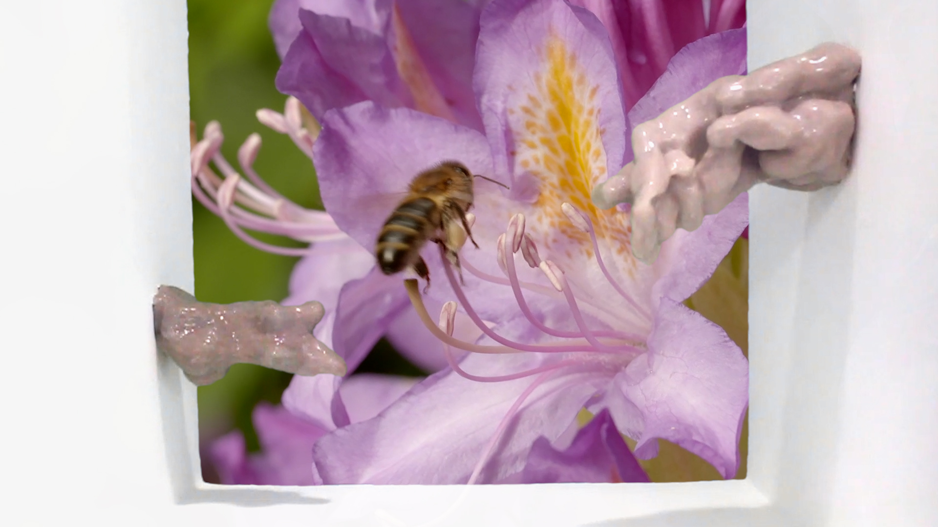 Still Images from "Of Love and Flight"