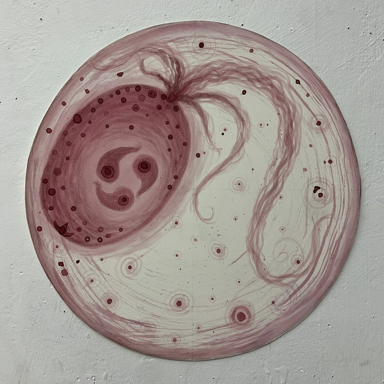 Unidentified Shrub Berry Sprite