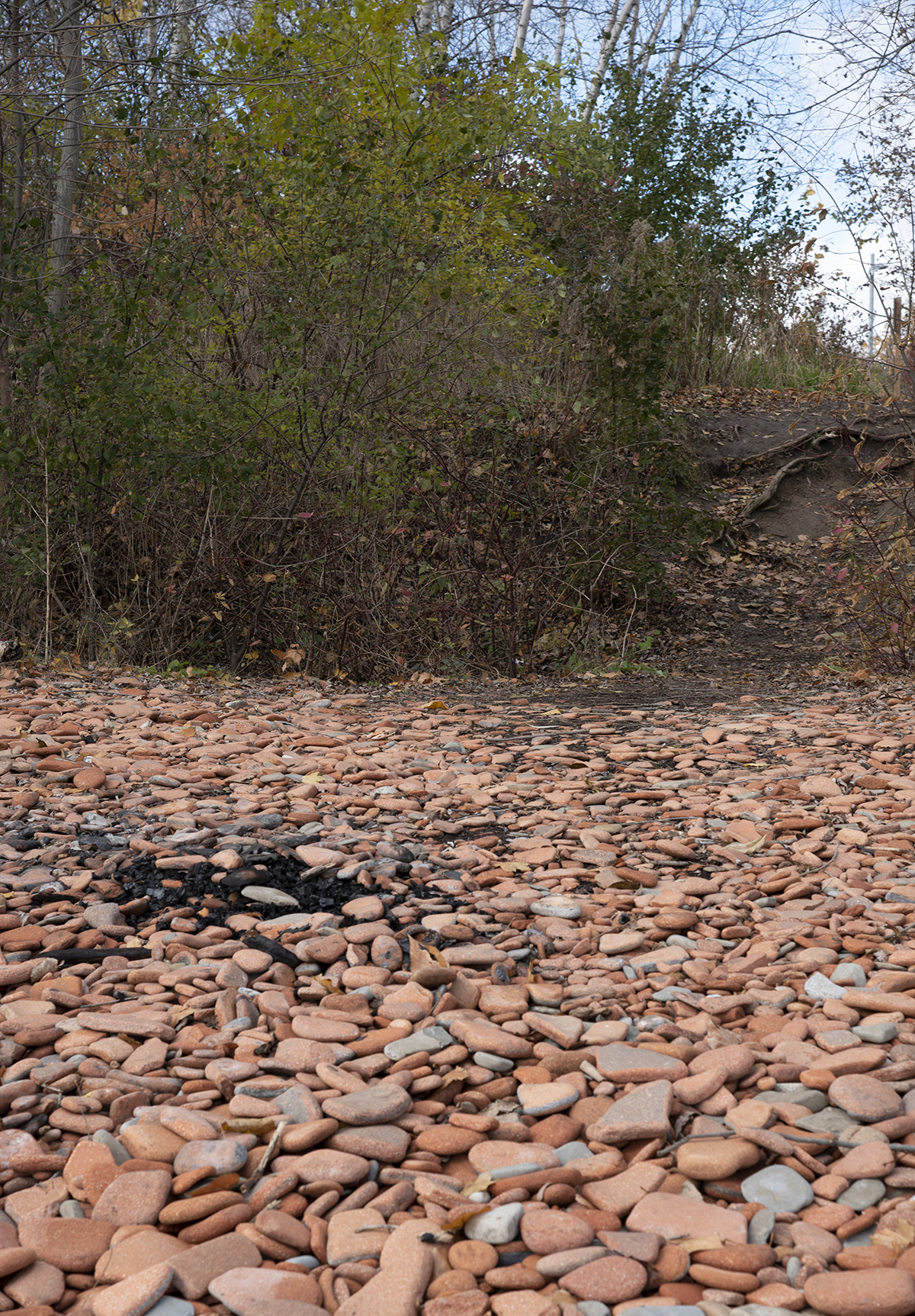 Where We Used to Walk