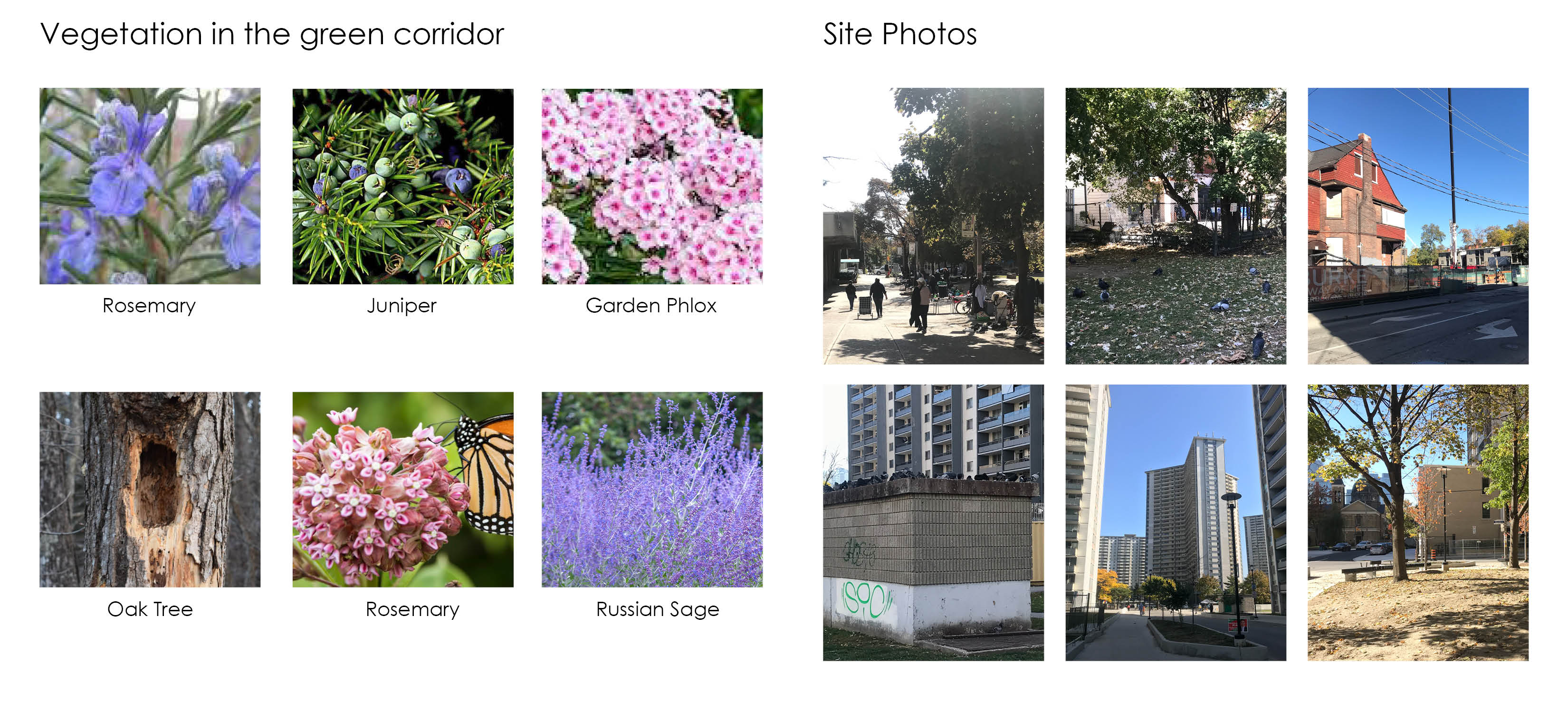 site photos - Green Escape