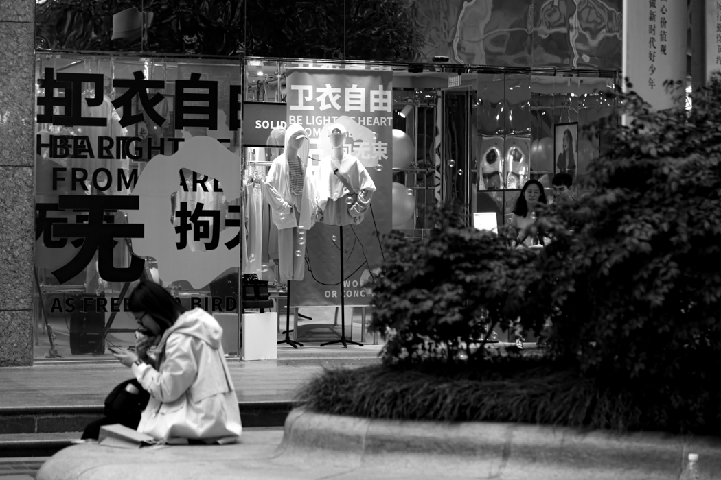 Live in Steel Forest