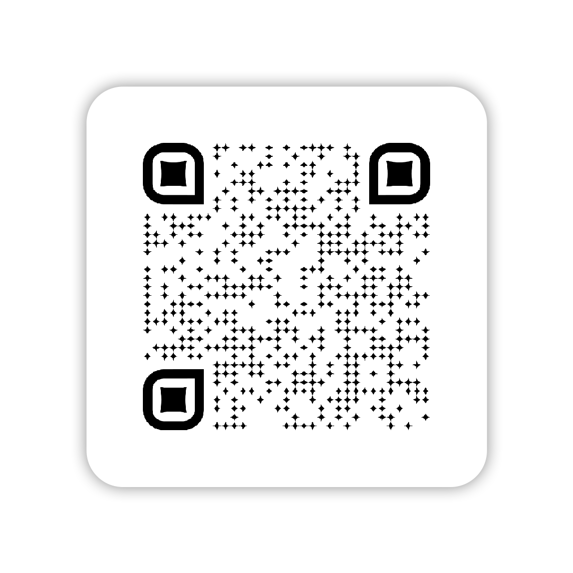 Collection of holiday experiences