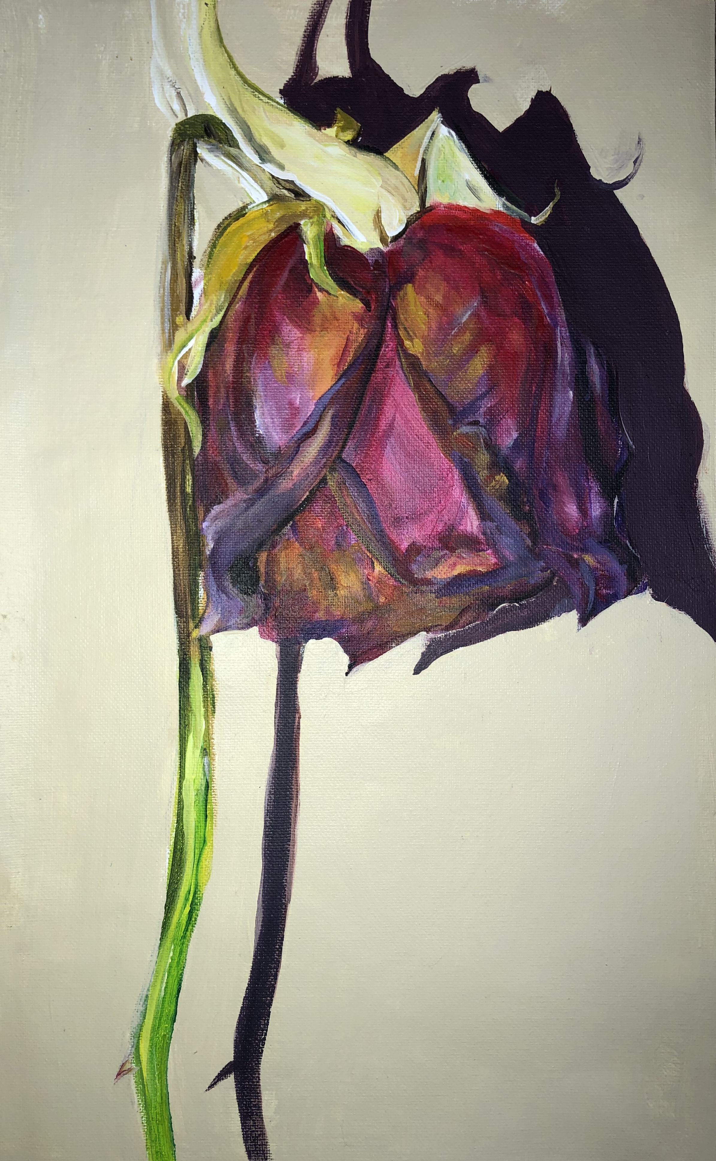 Degradation (series)