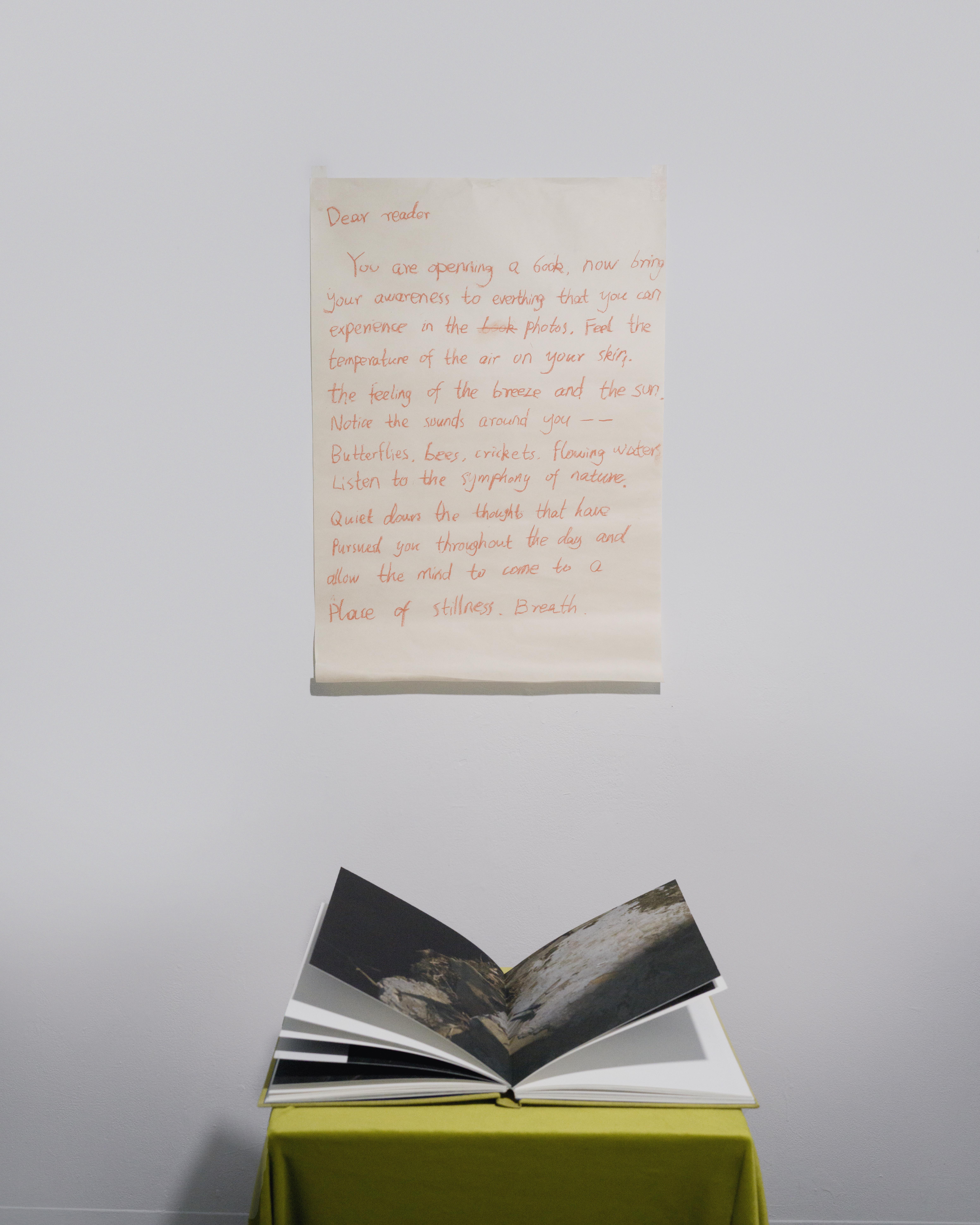 a river waiting for falling pears