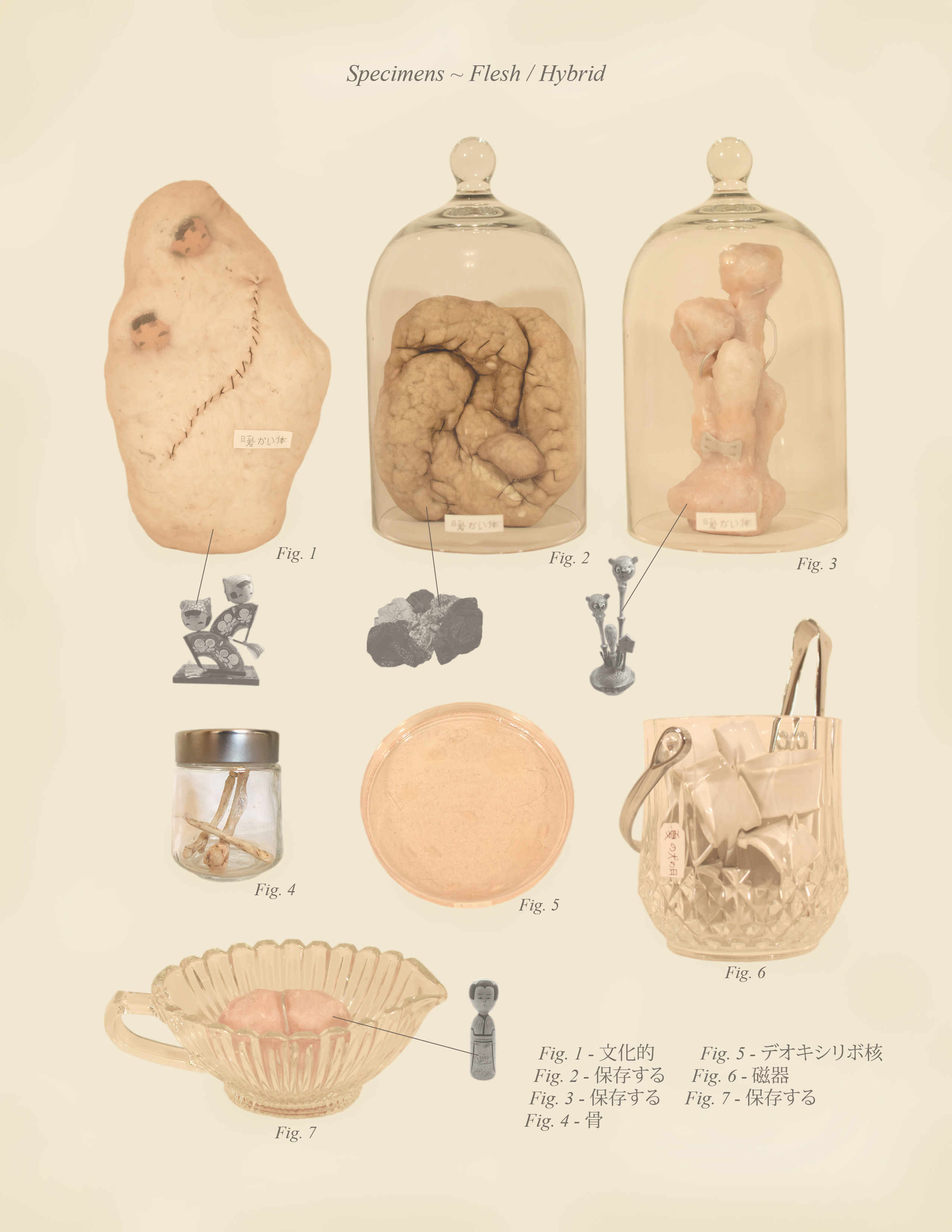 Specimens ~ Flesh / Hybrid