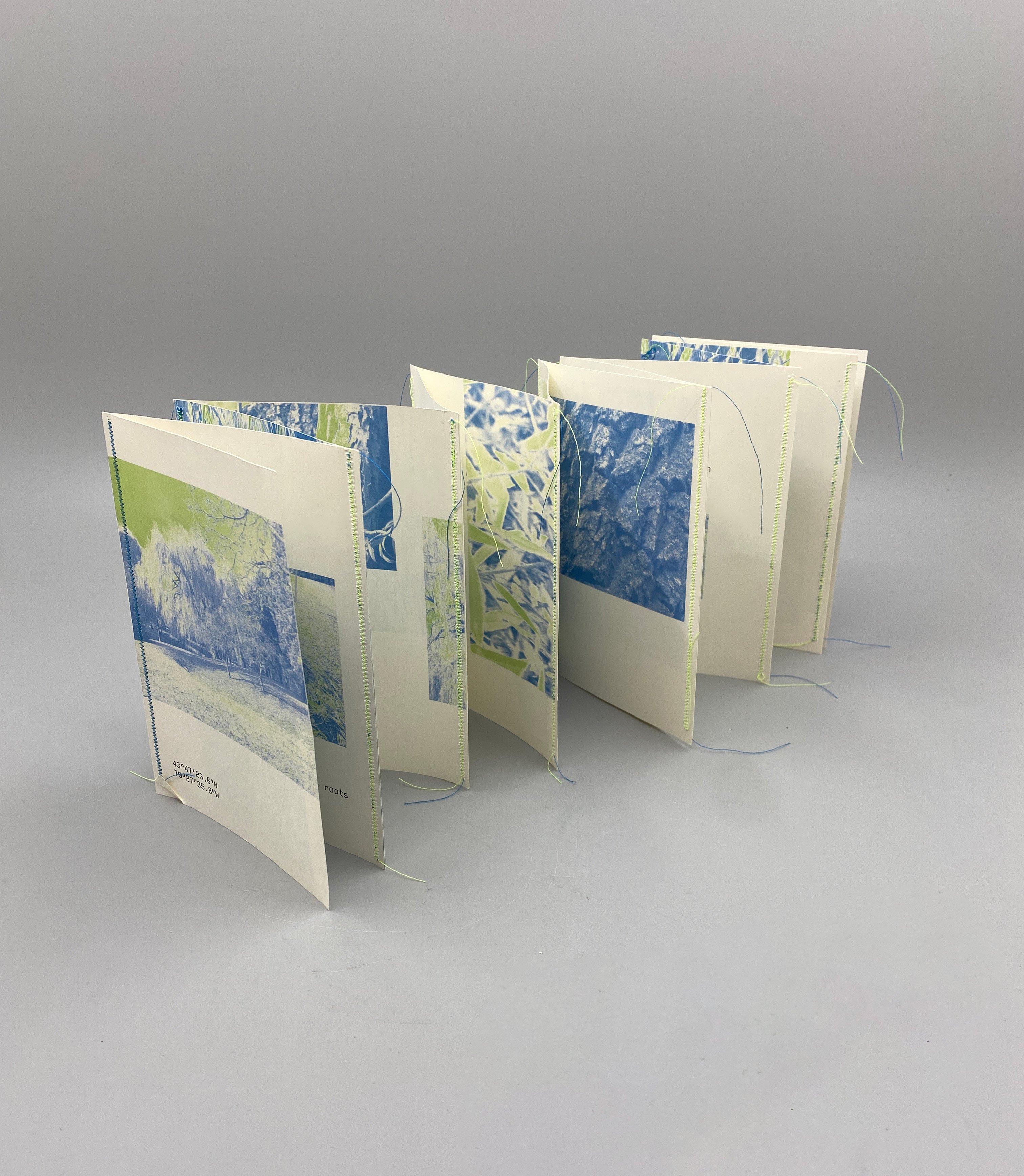 a moment with a tree