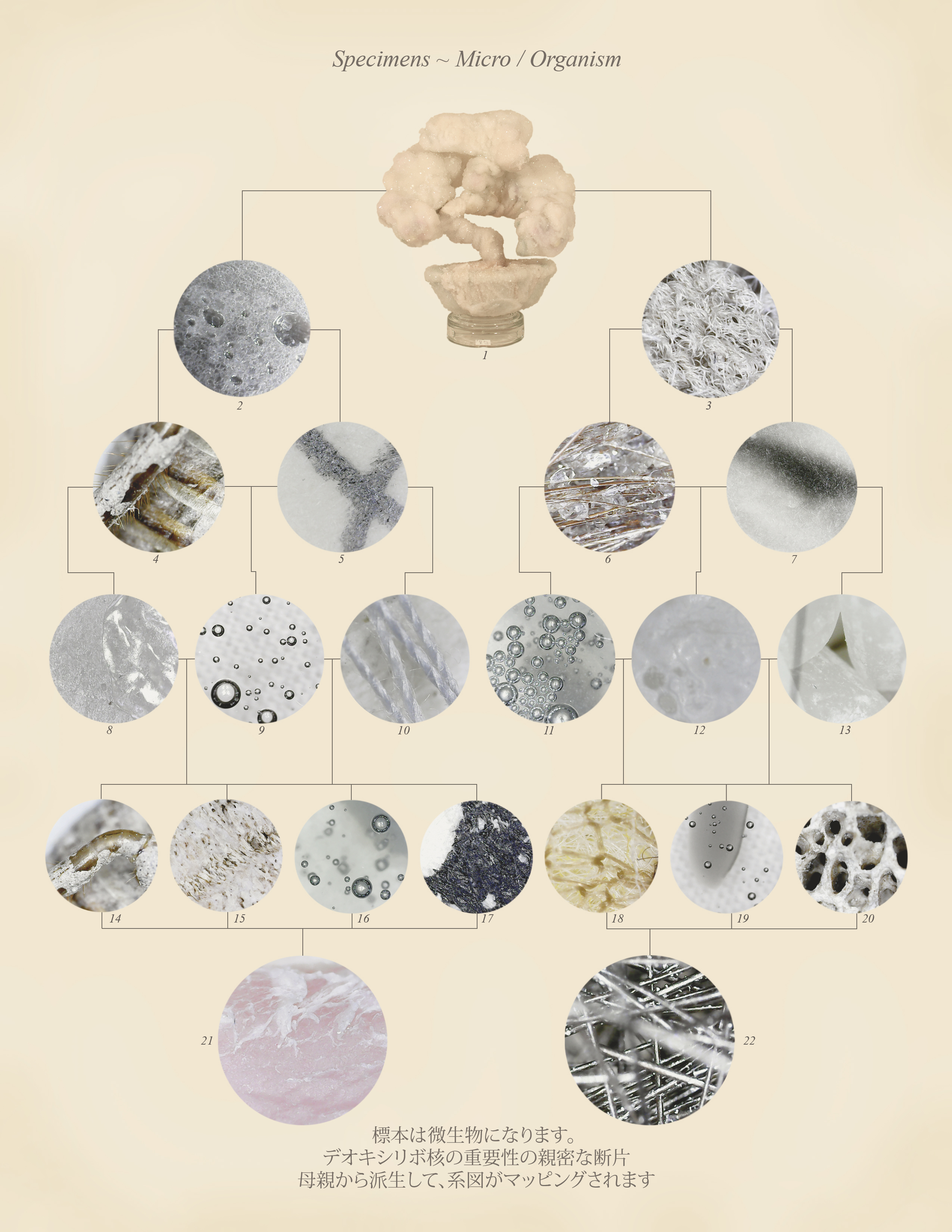 Specimens ~ Micro / Organism