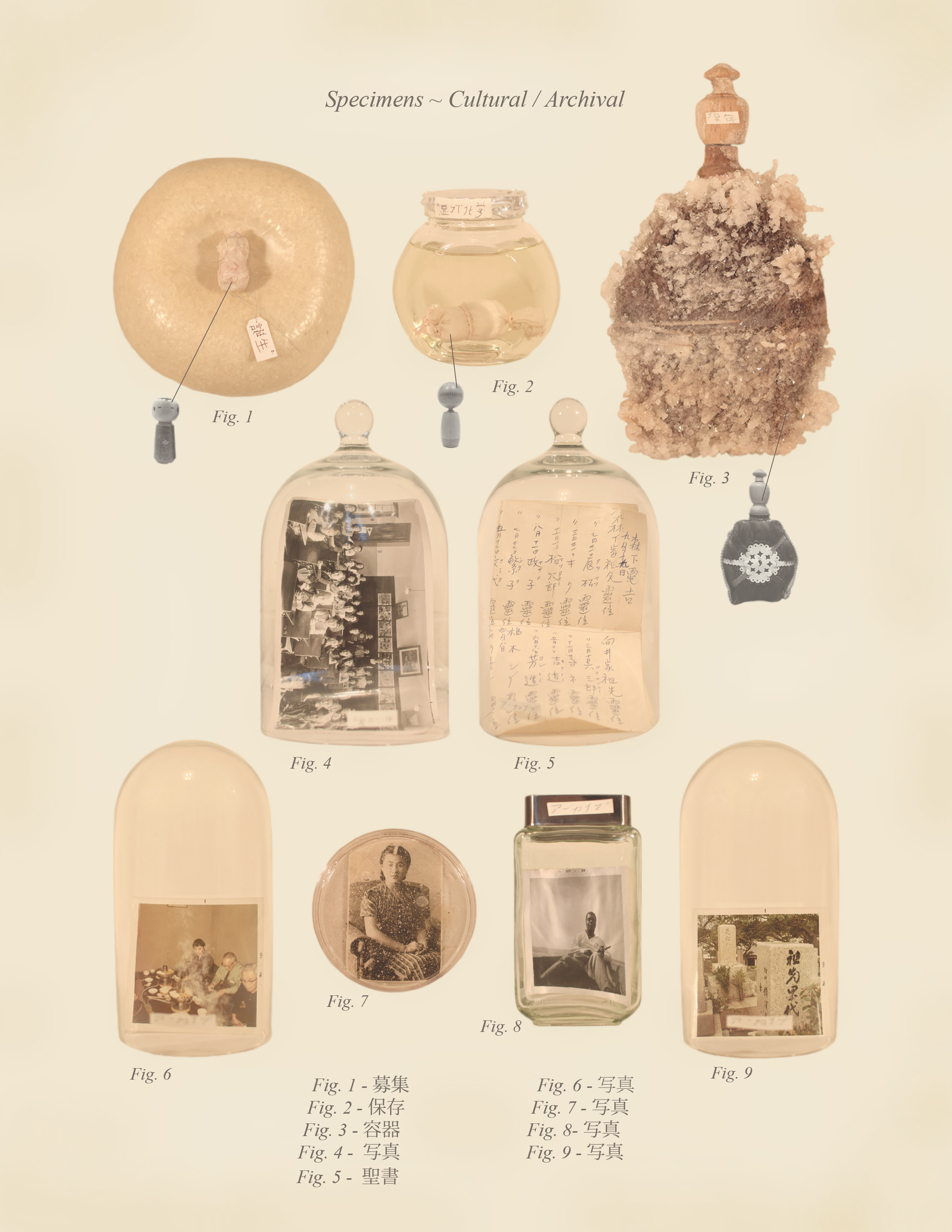 Warm Bodies, Ghostly Specimens, Stoic Machines | 4