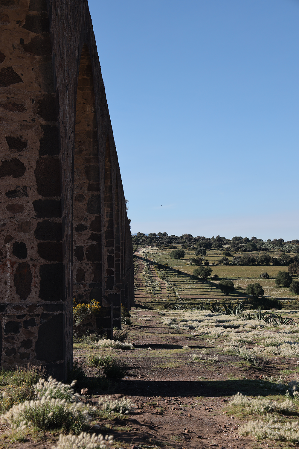 Arcos, Agua y Nopales 9