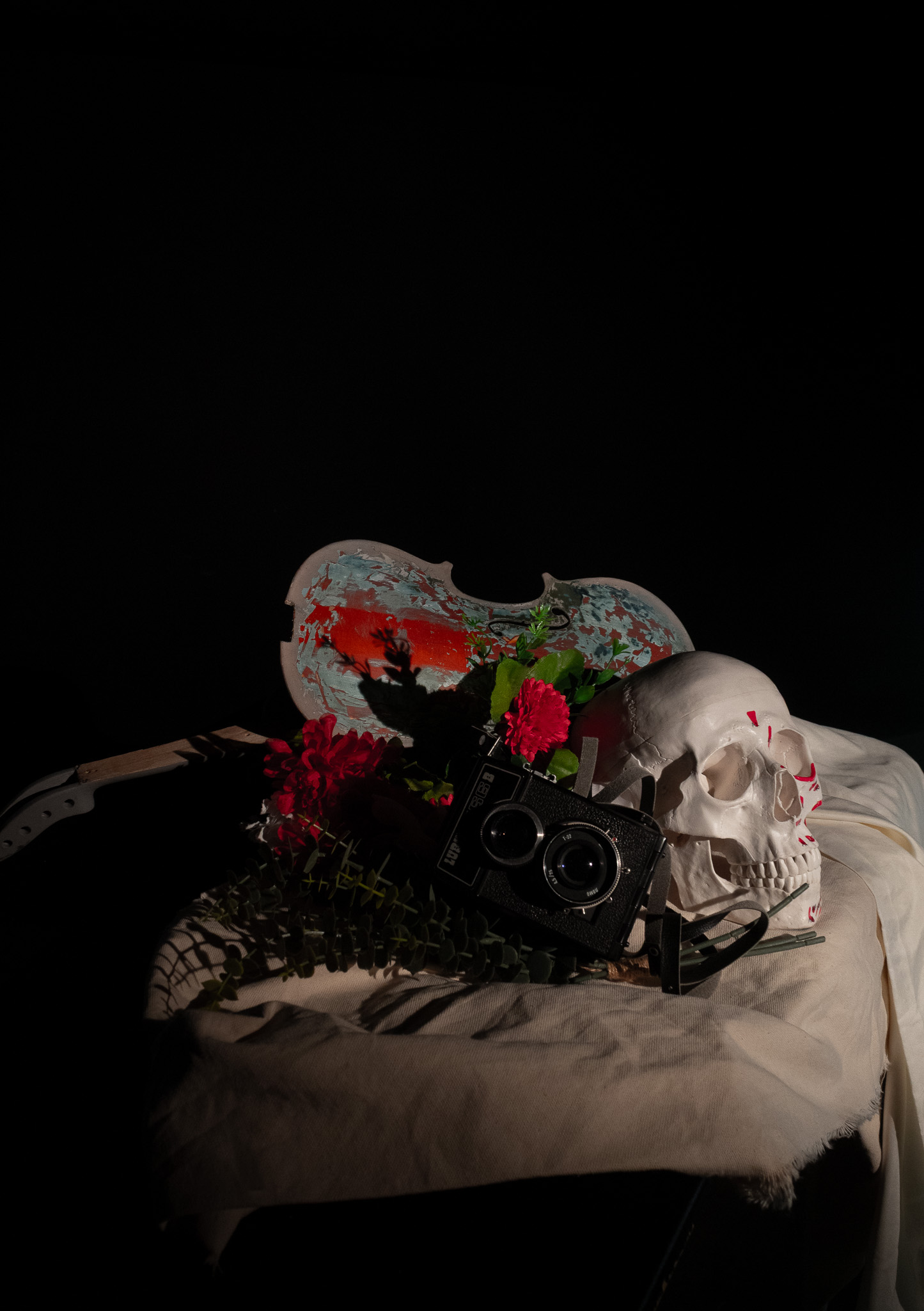 Vanitas for the Arts Student
