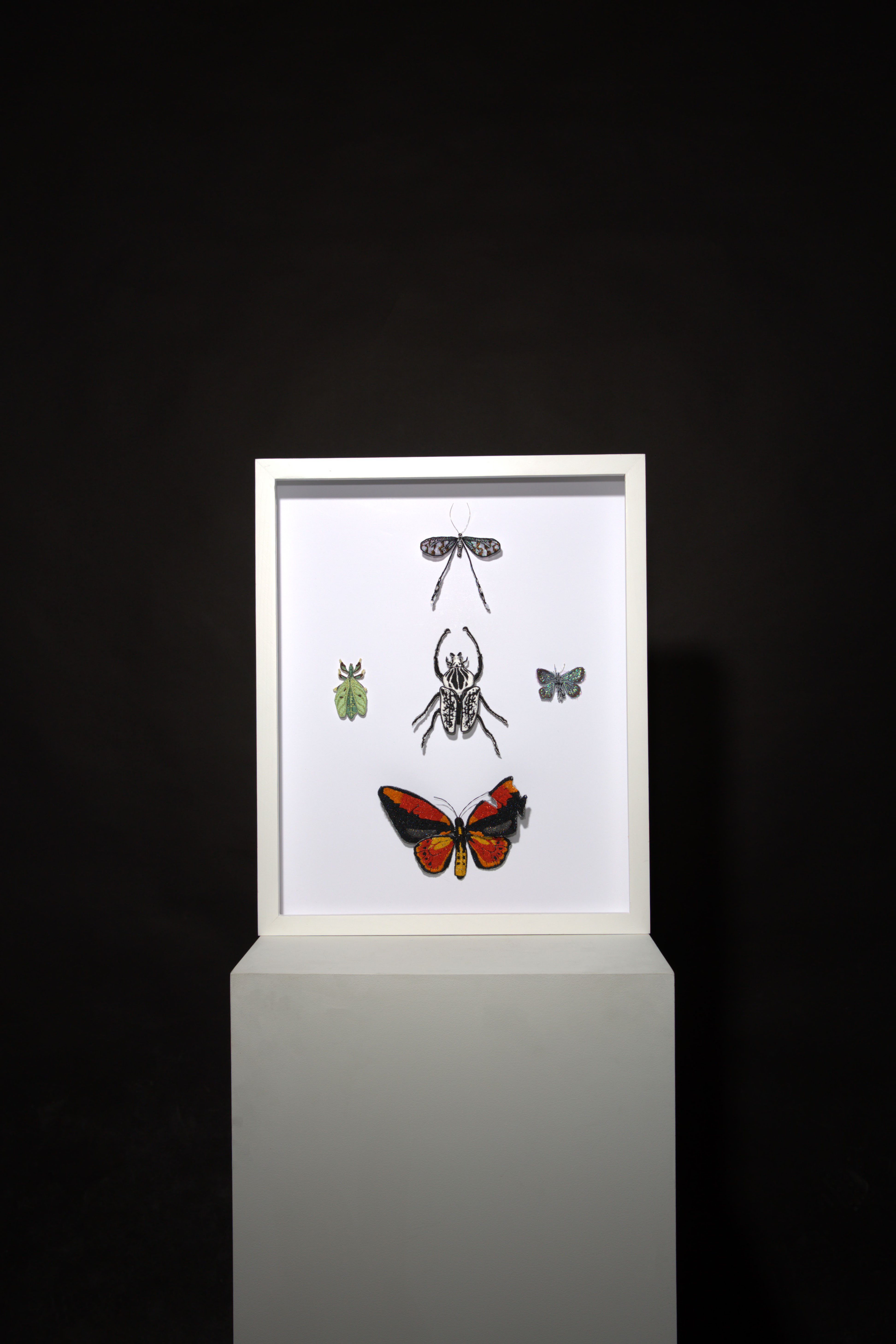 Threads of Life: A Tapestry of Endangered Insects