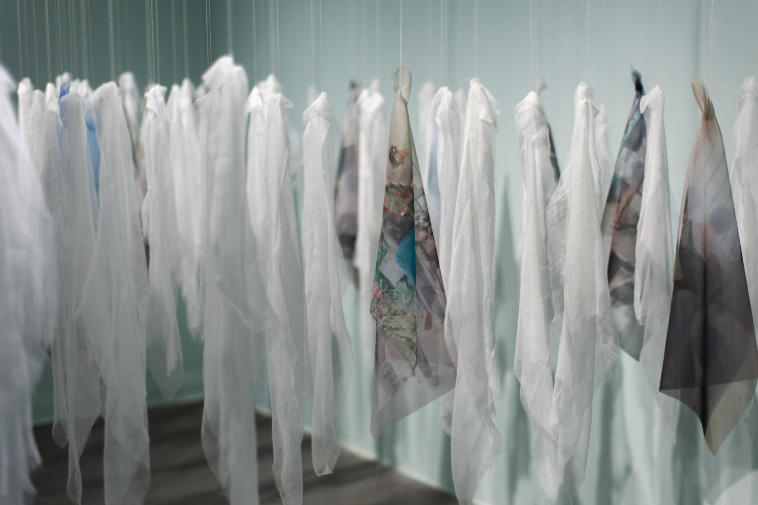 Hands that gather and forget.