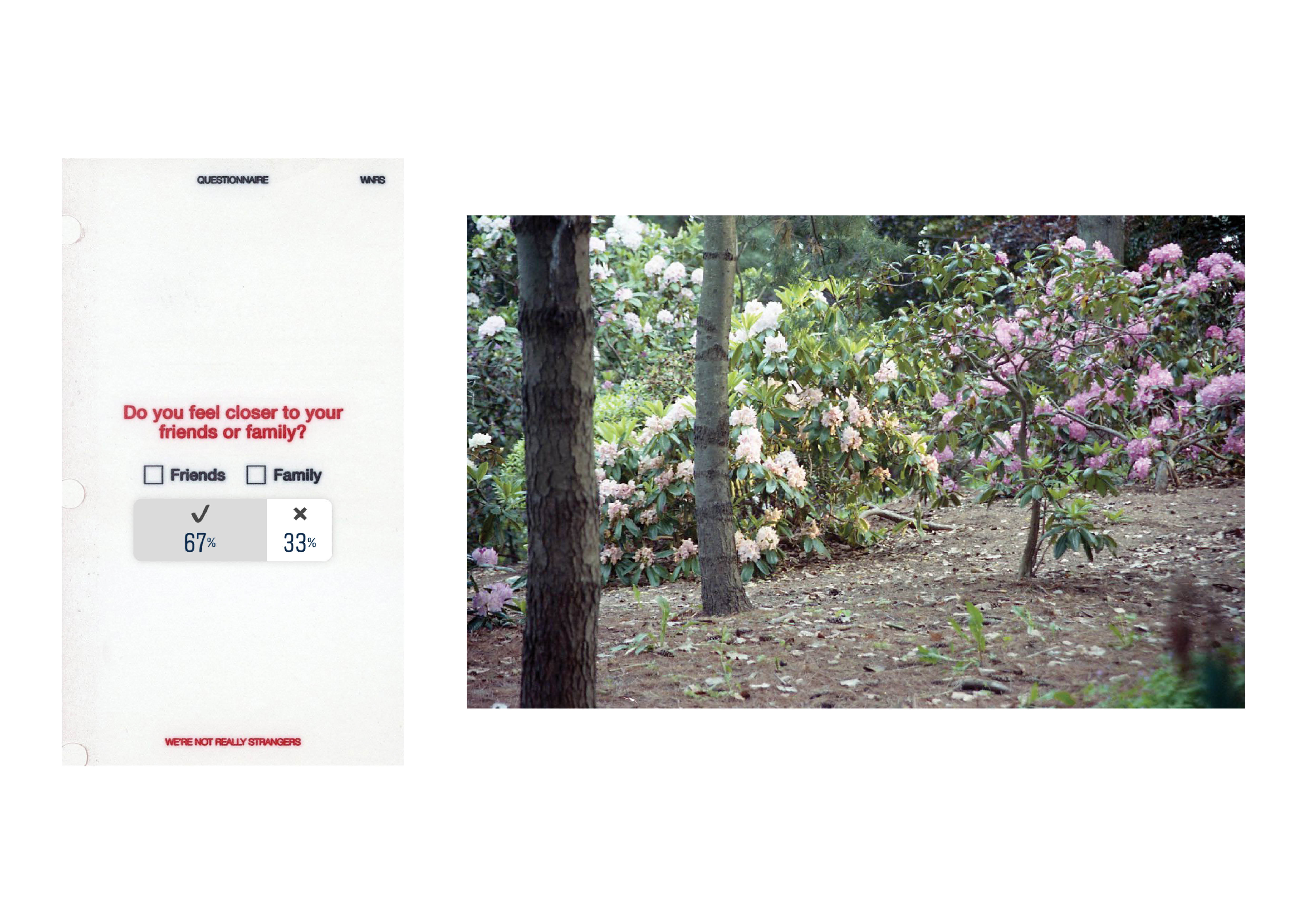 An Ode To My Friends