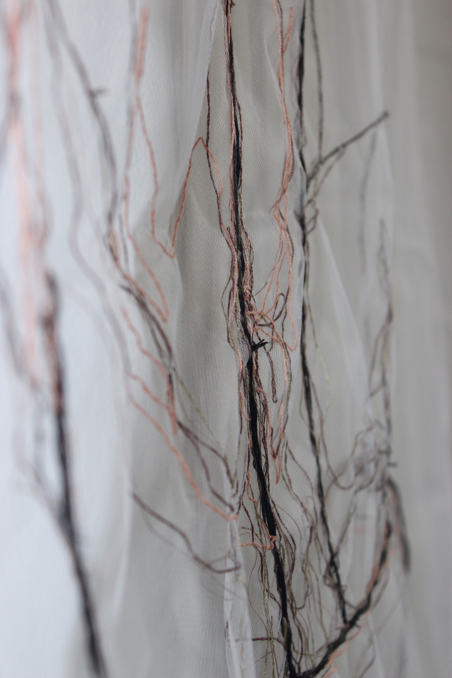 Detail of [un]veiled