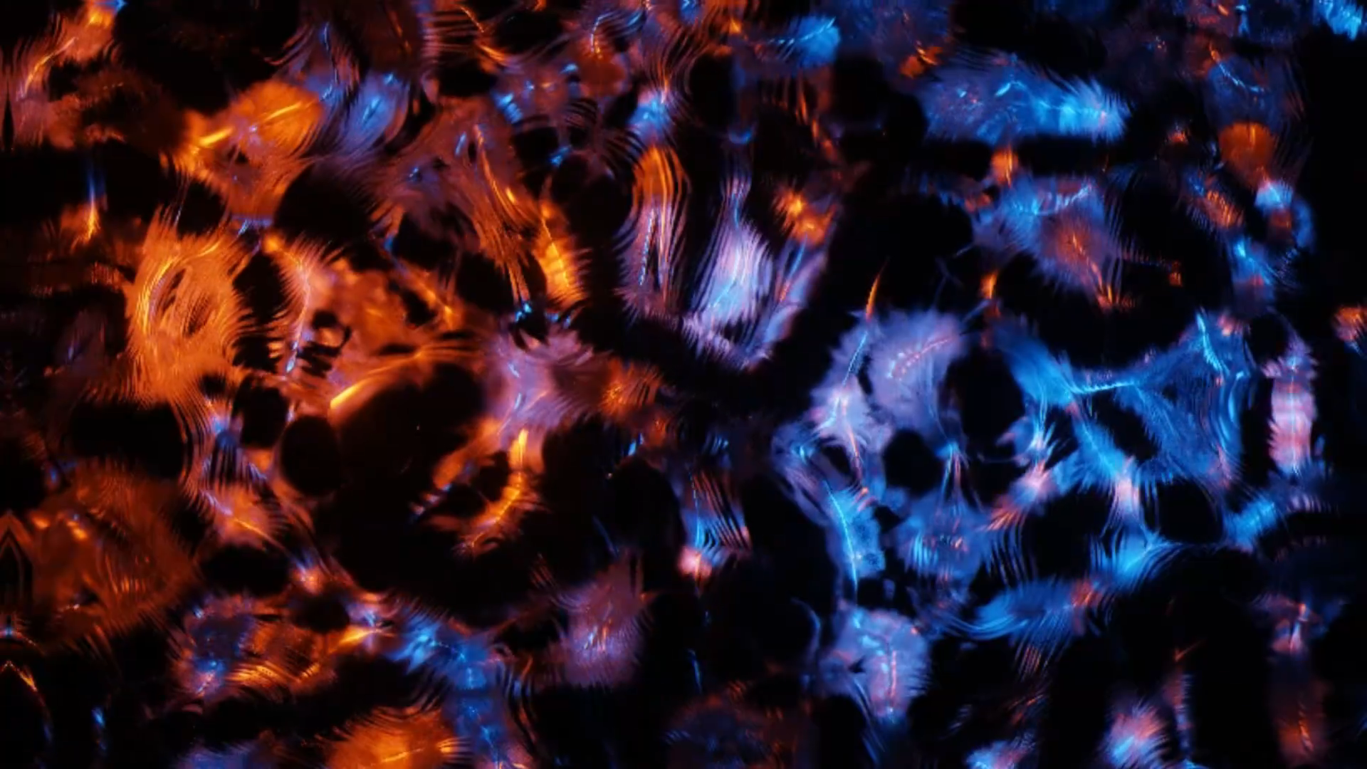 Shapes of Rhythm: A Visual Interpretation of "Science Punk"