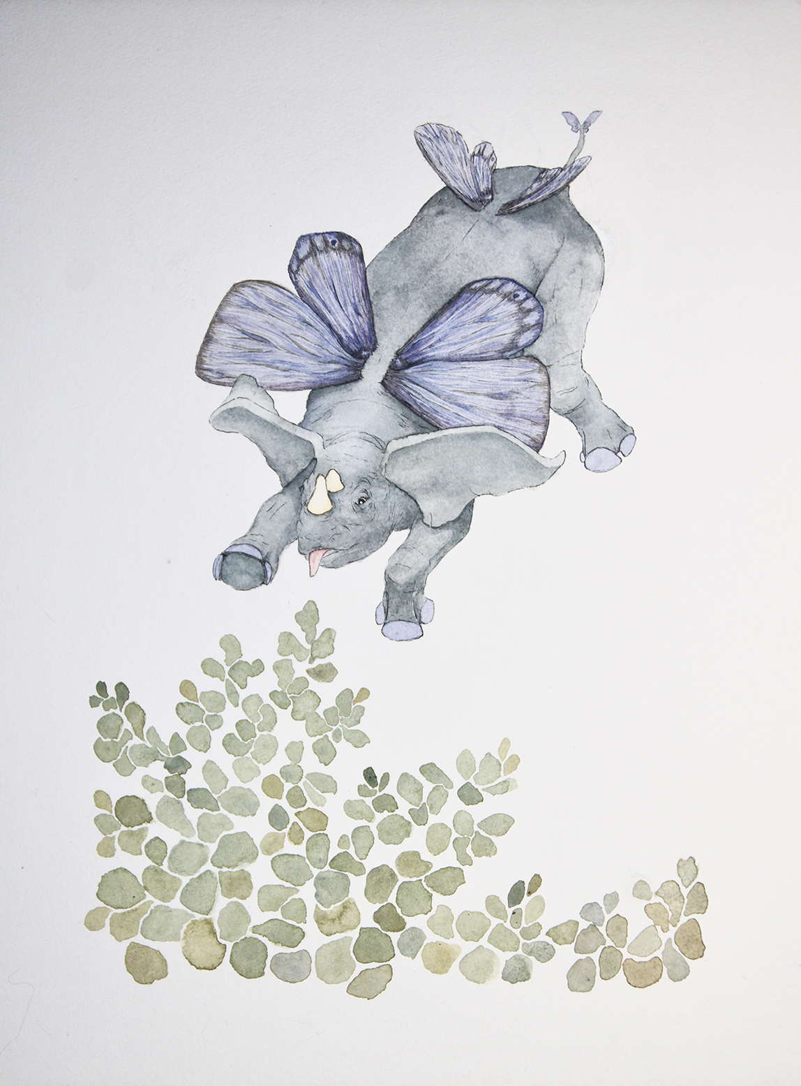 Hybrids for Ecological Niches