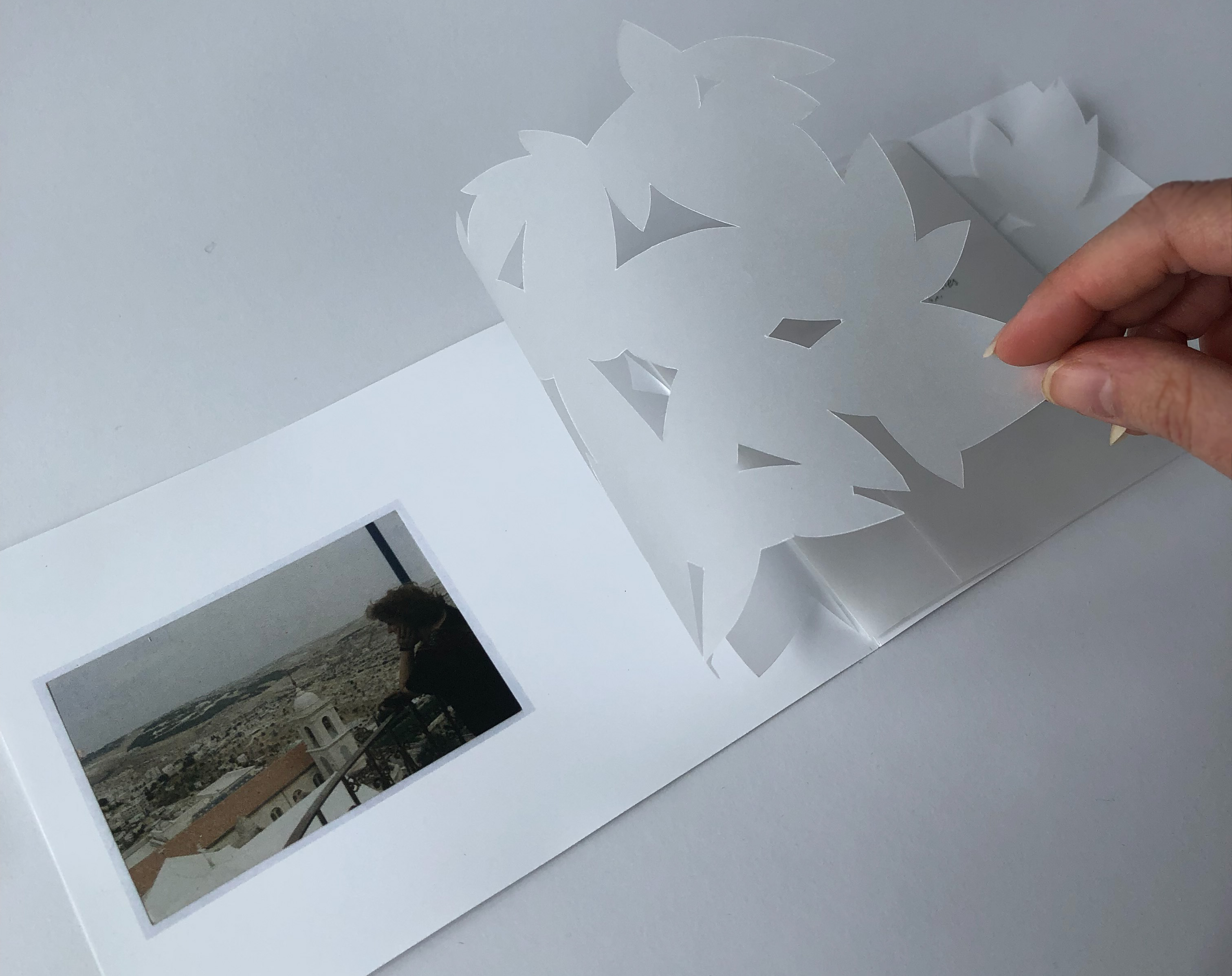 علَى هَذِهِ الأَرْض - On This Land: Publication