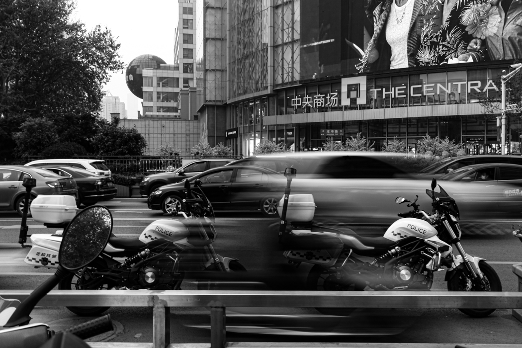 Live in Steel Forest