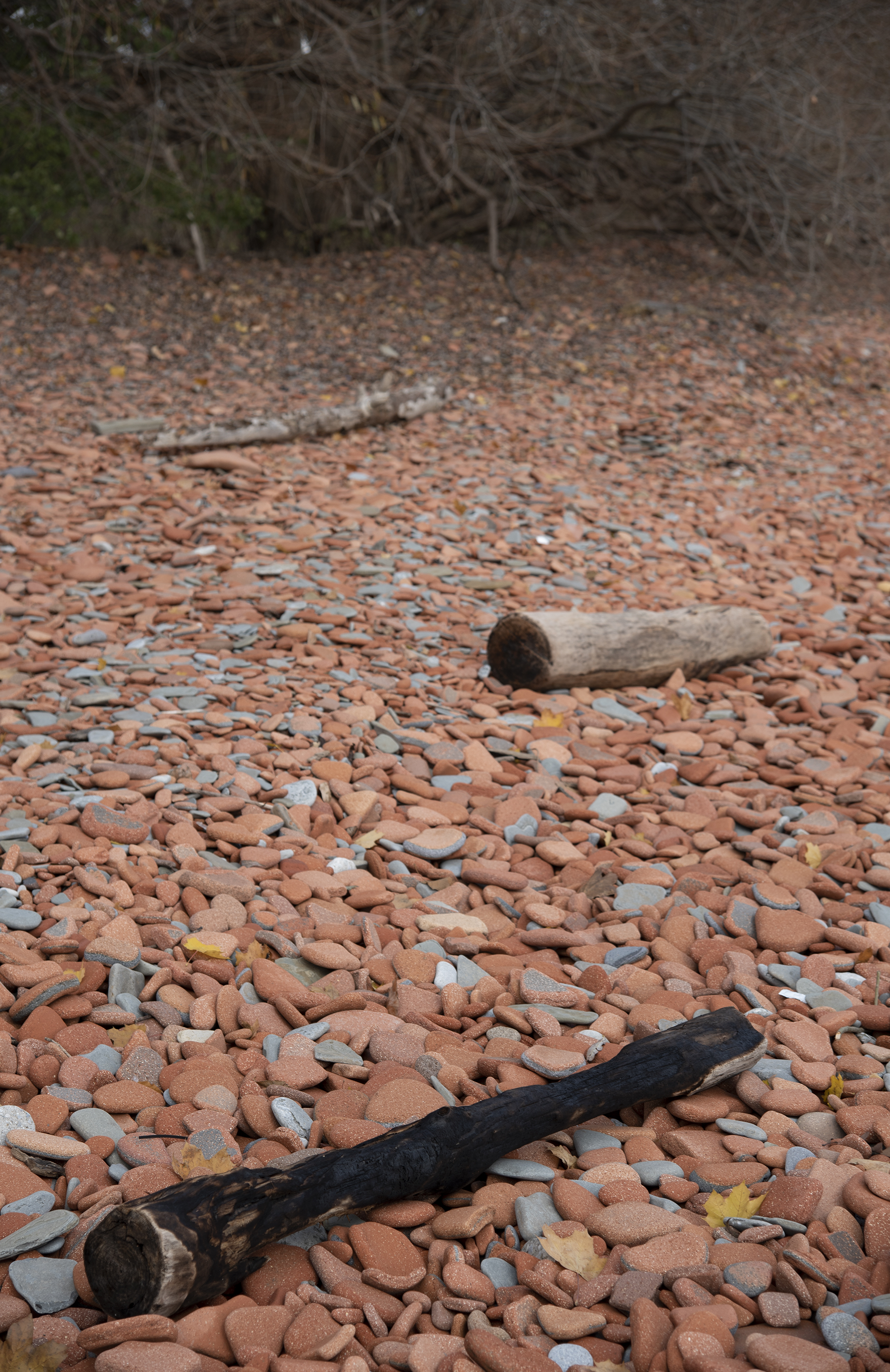 Where We Used to Walk