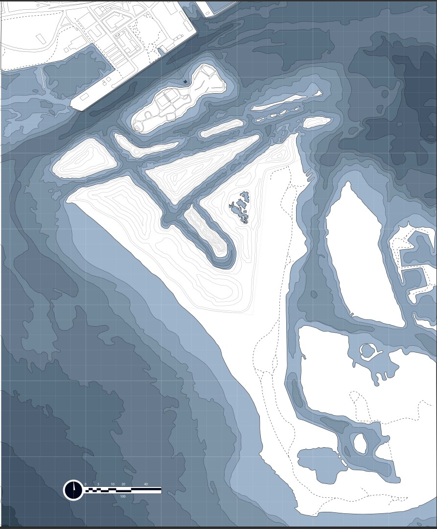 Terminal Succession: Stage 5