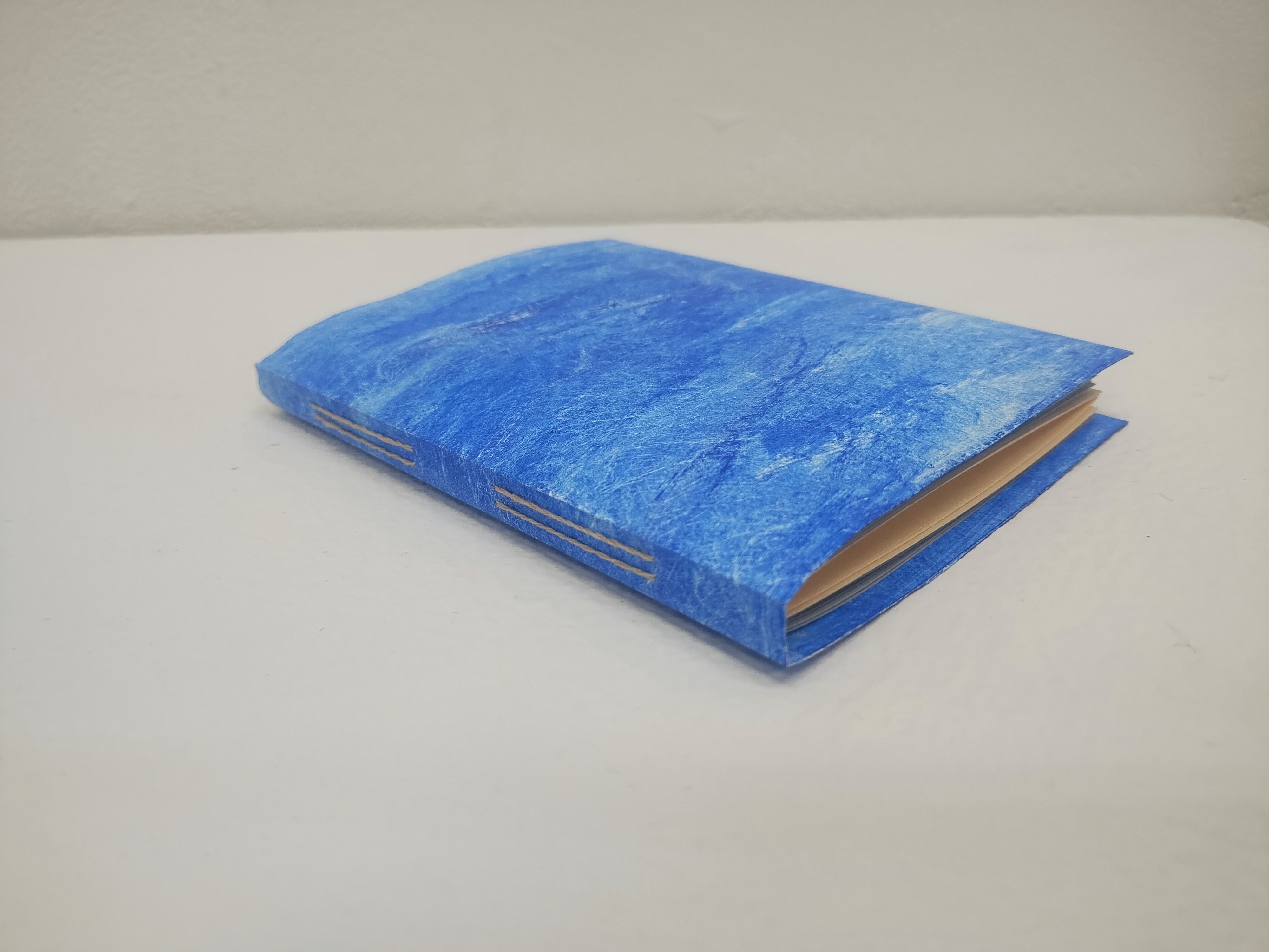 Hand Bound - view of spine stitching detail