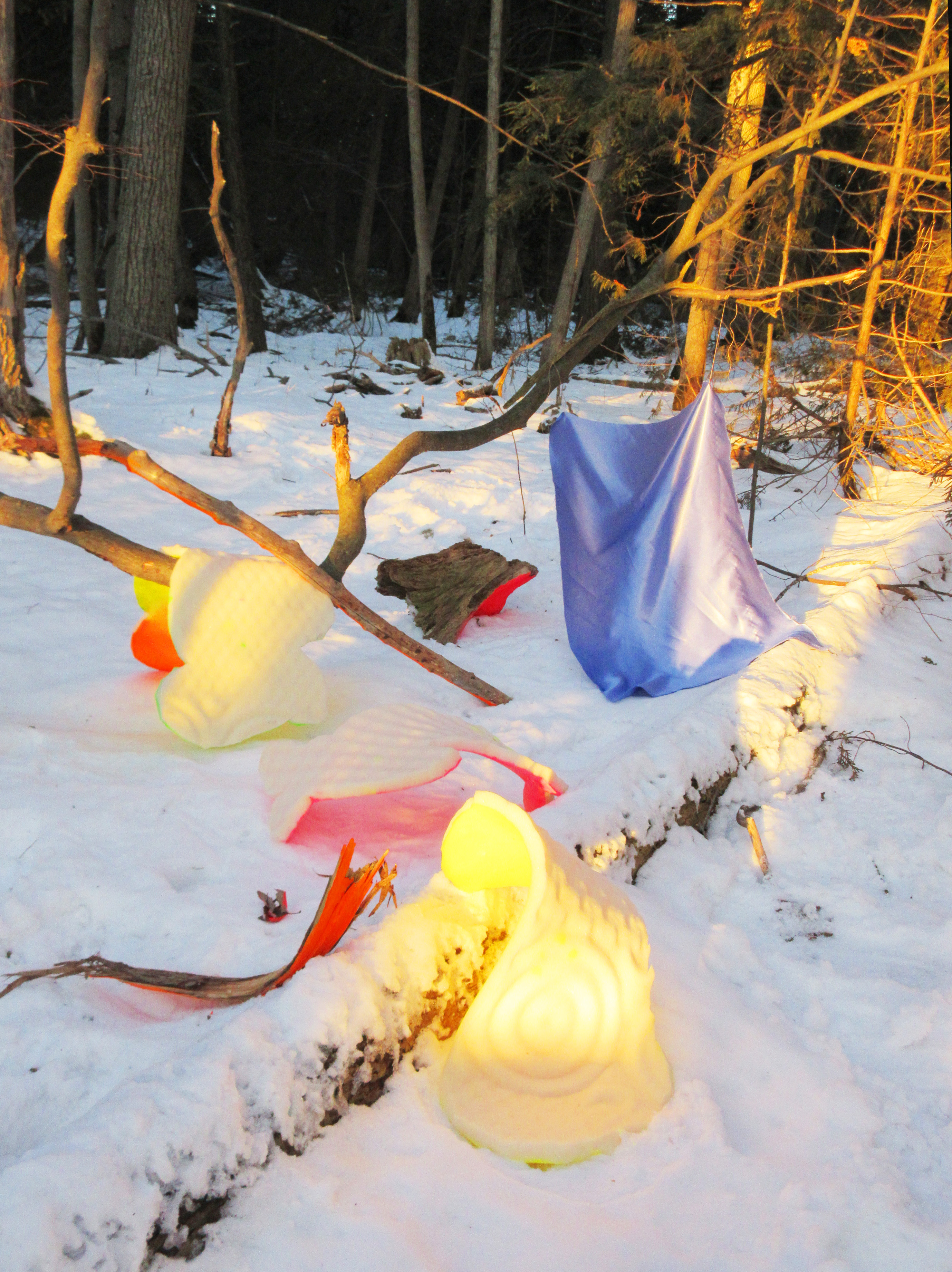 Competing with the Wind