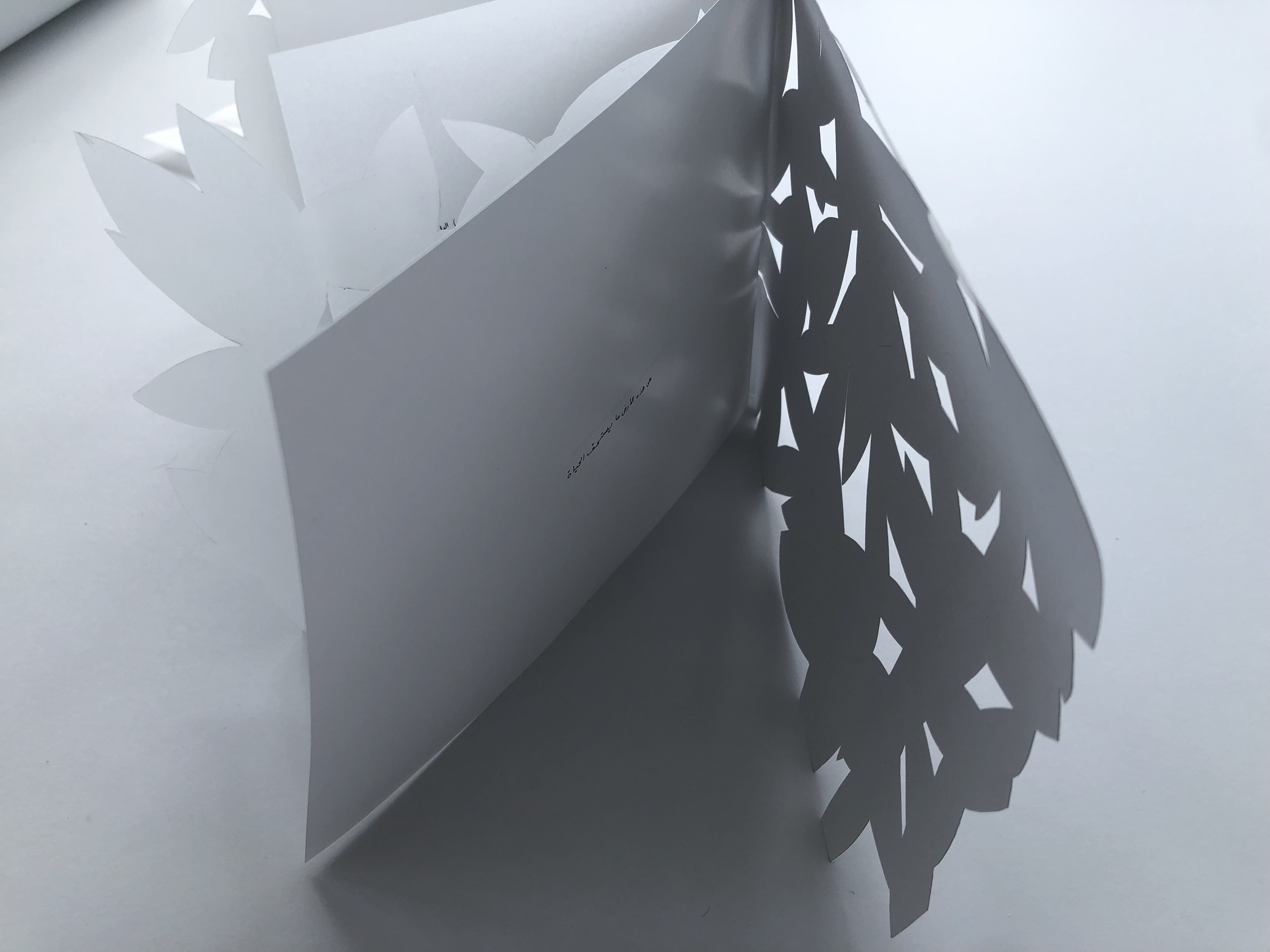 علَى هَذِهِ الأَرْض - On This Land: Publication