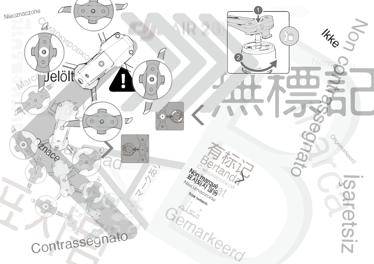 Reproducing Instruction