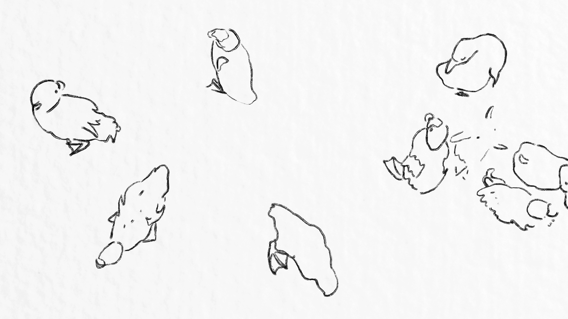 Sosuke the Duck (In Production)