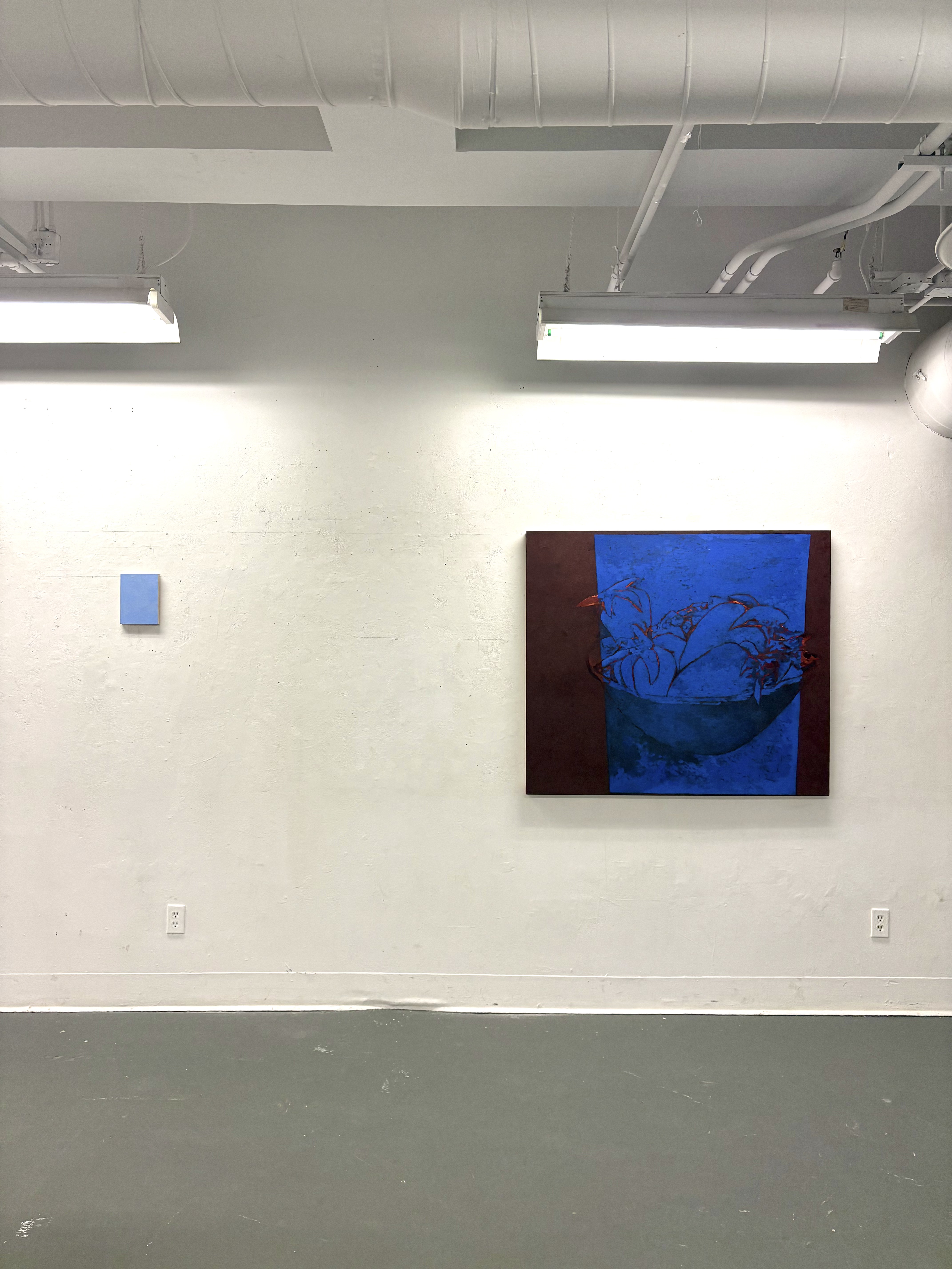 Install: Sky, Bowl of Strawberries
