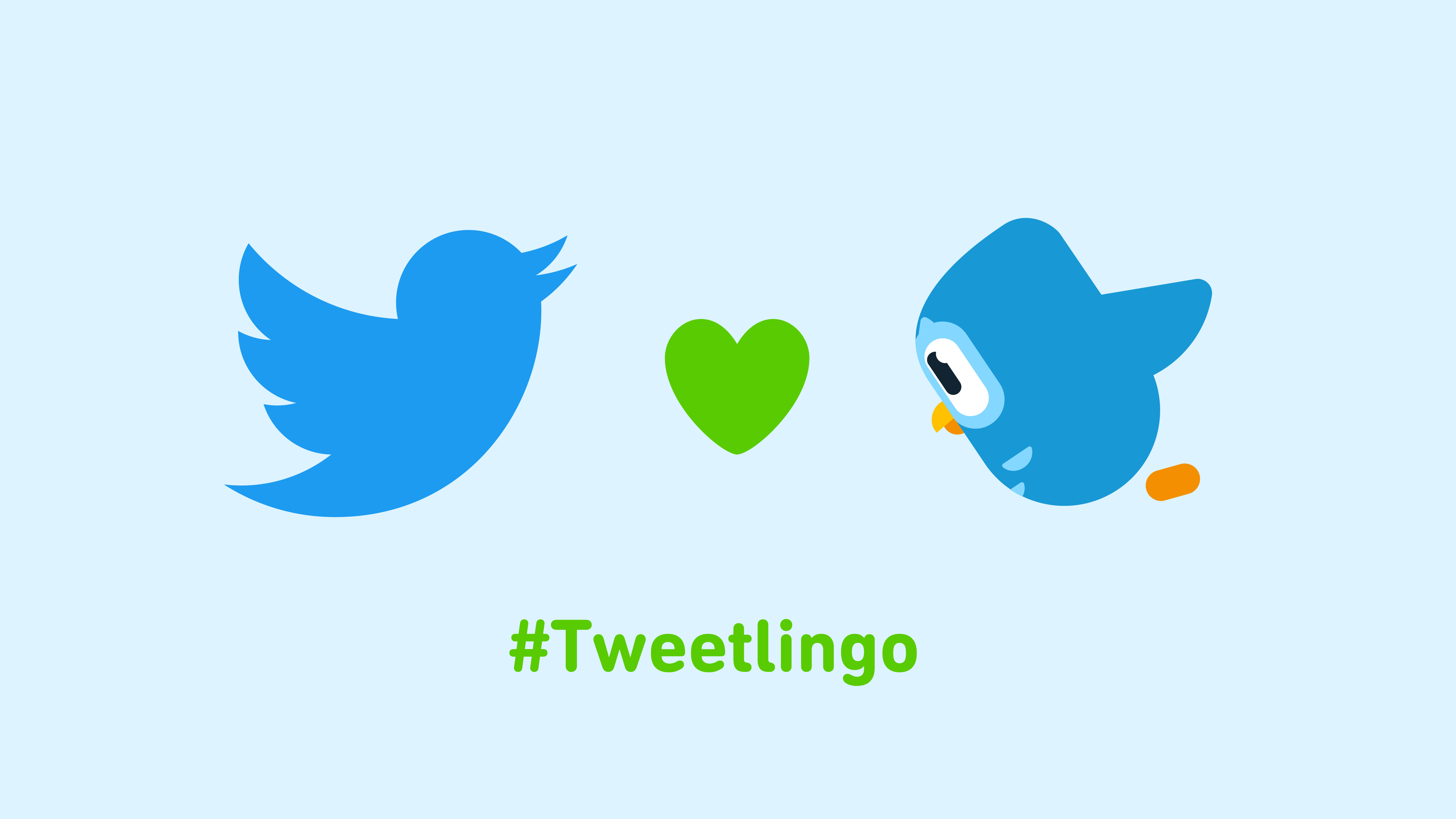 Tweetlingo