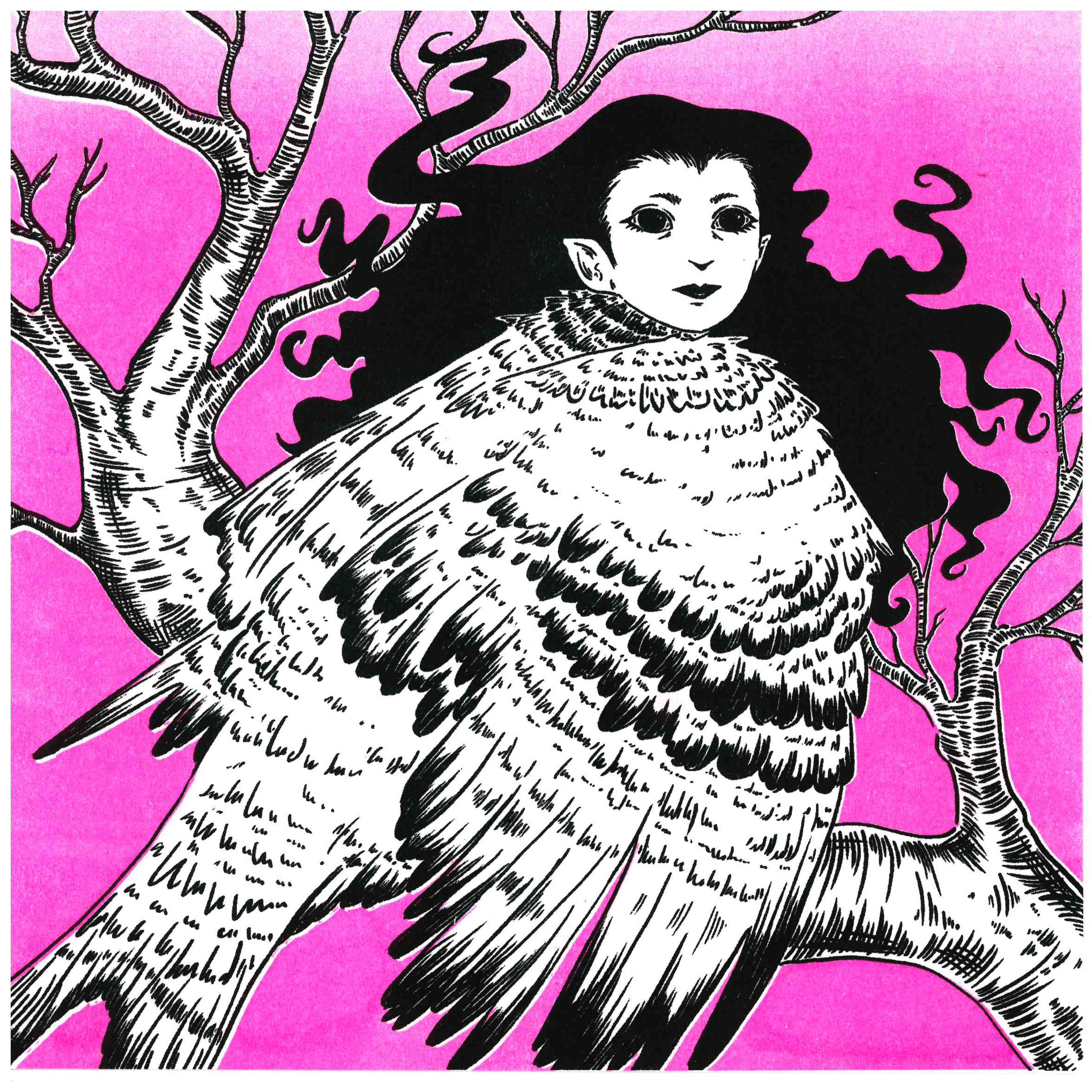 Harpy