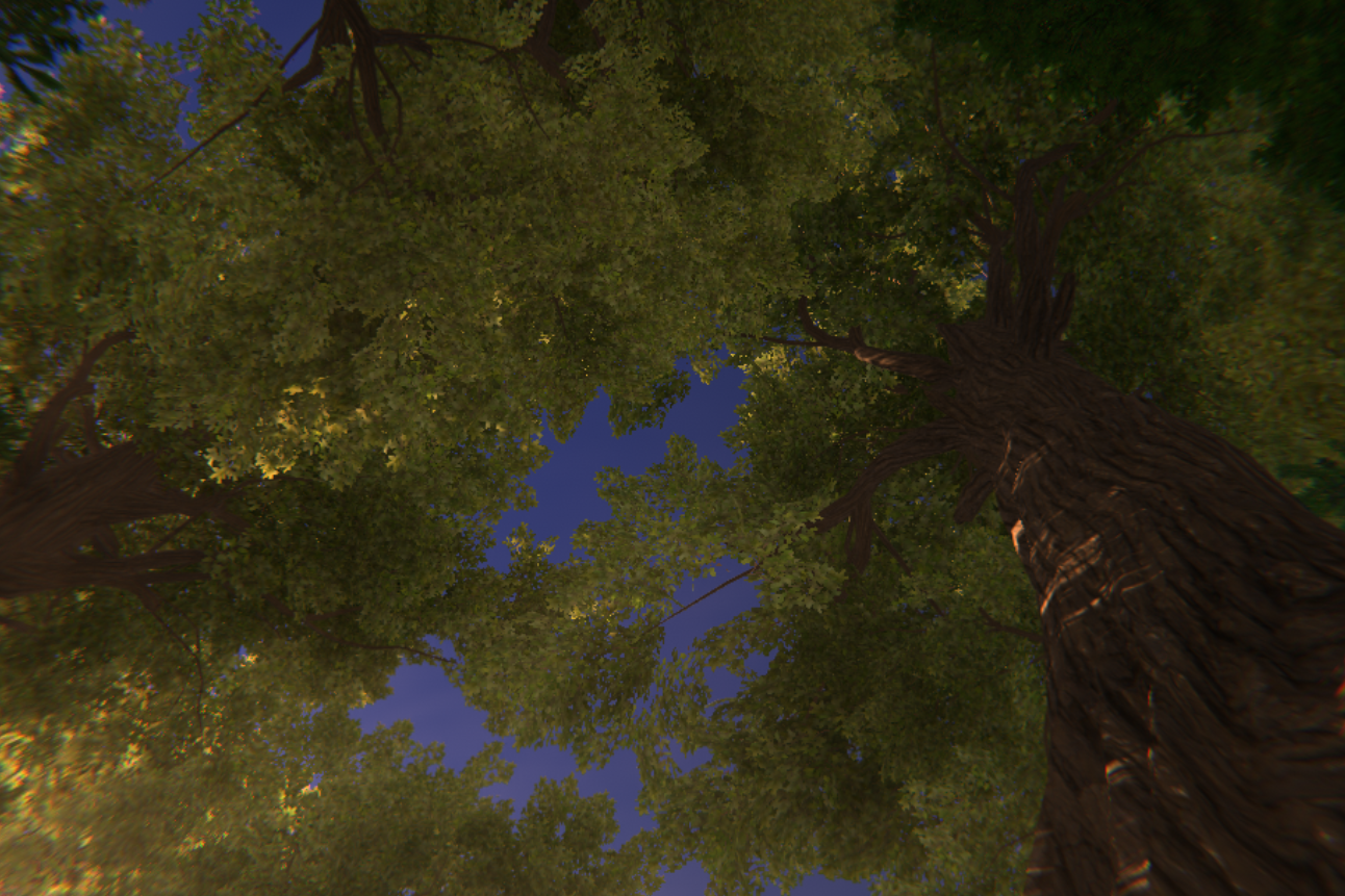 Mother of the Forest