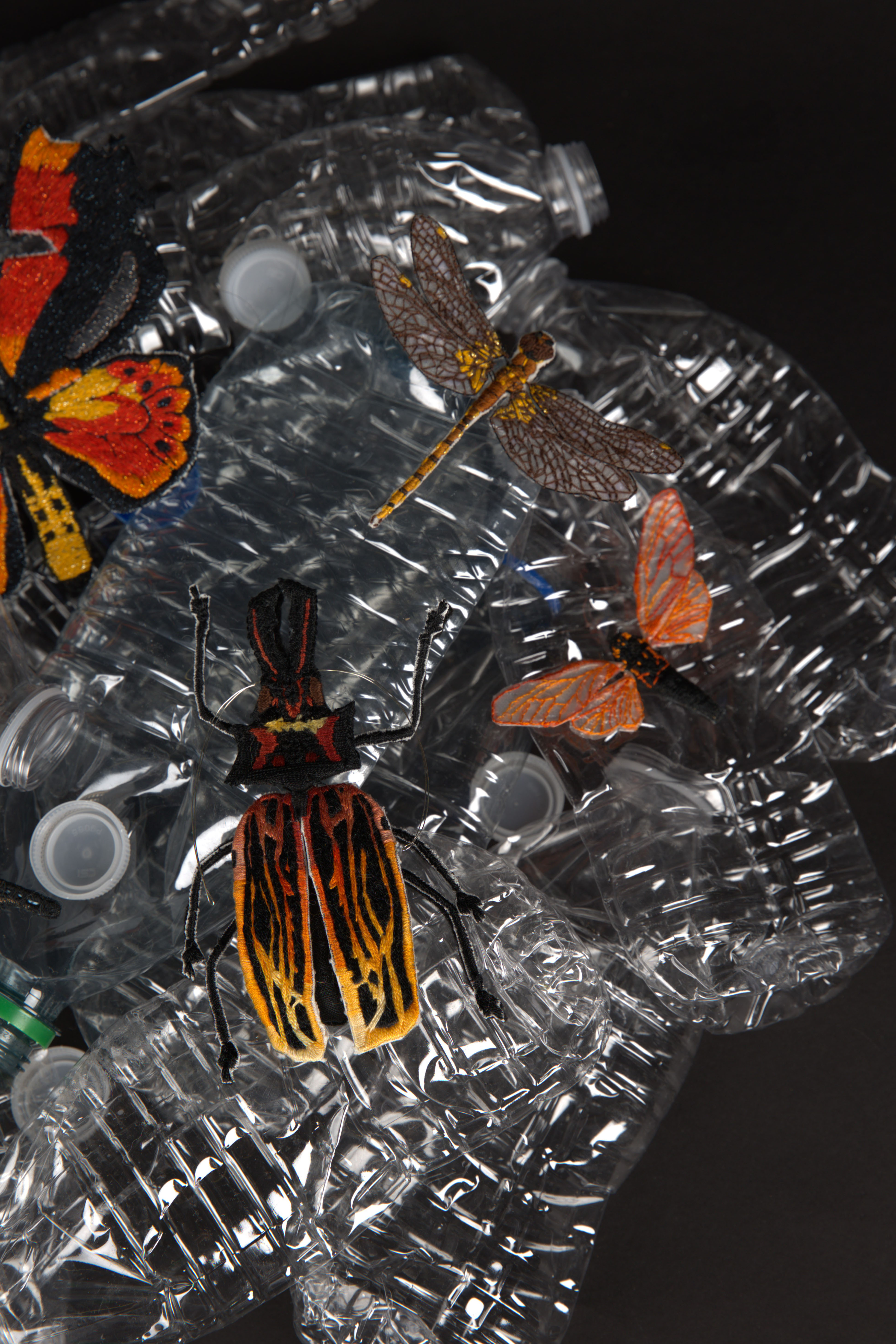 Threads of Life: A Tapestry of Endangered Insects in garbages