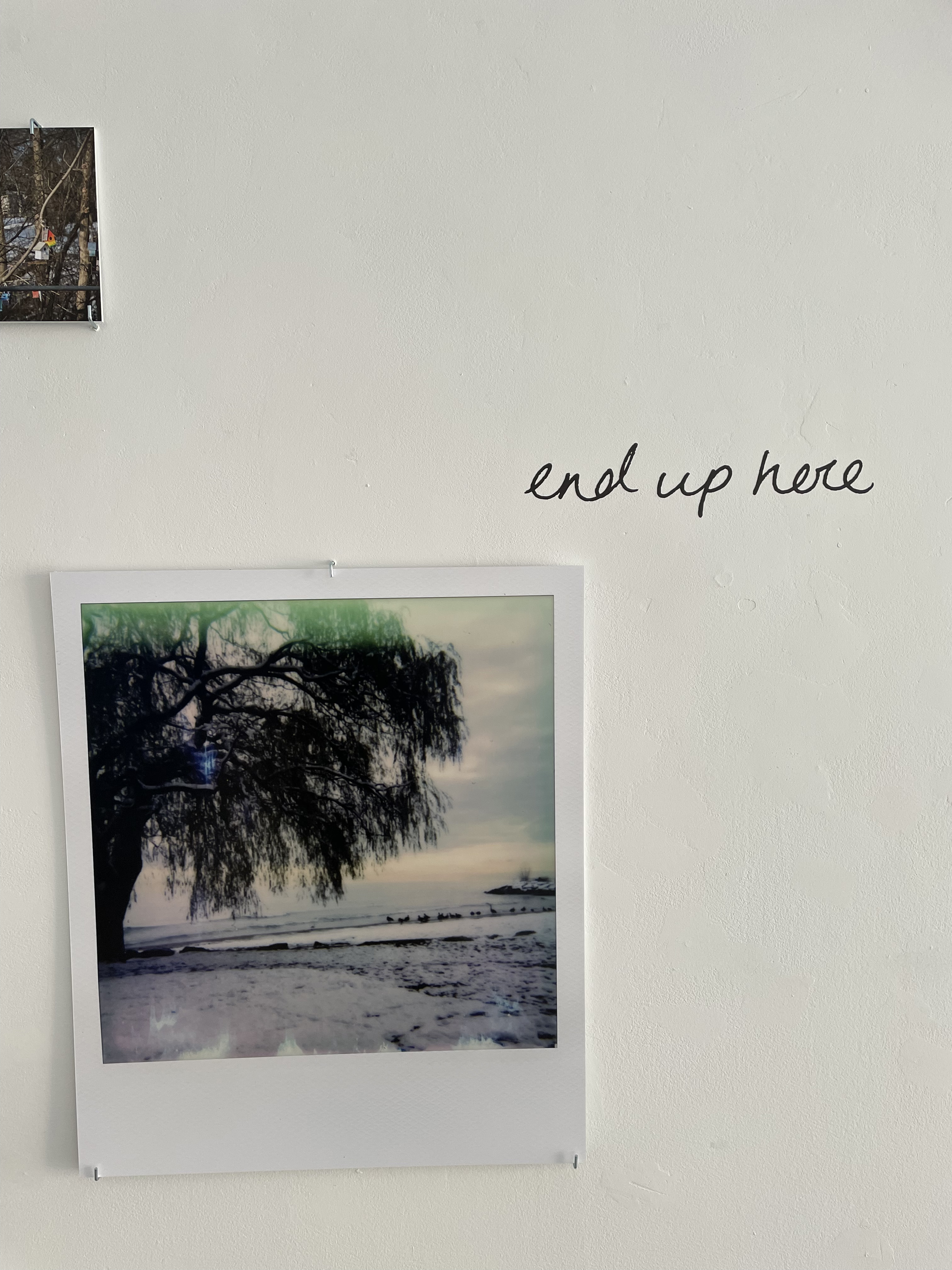 Where We Used to Walk - Installation