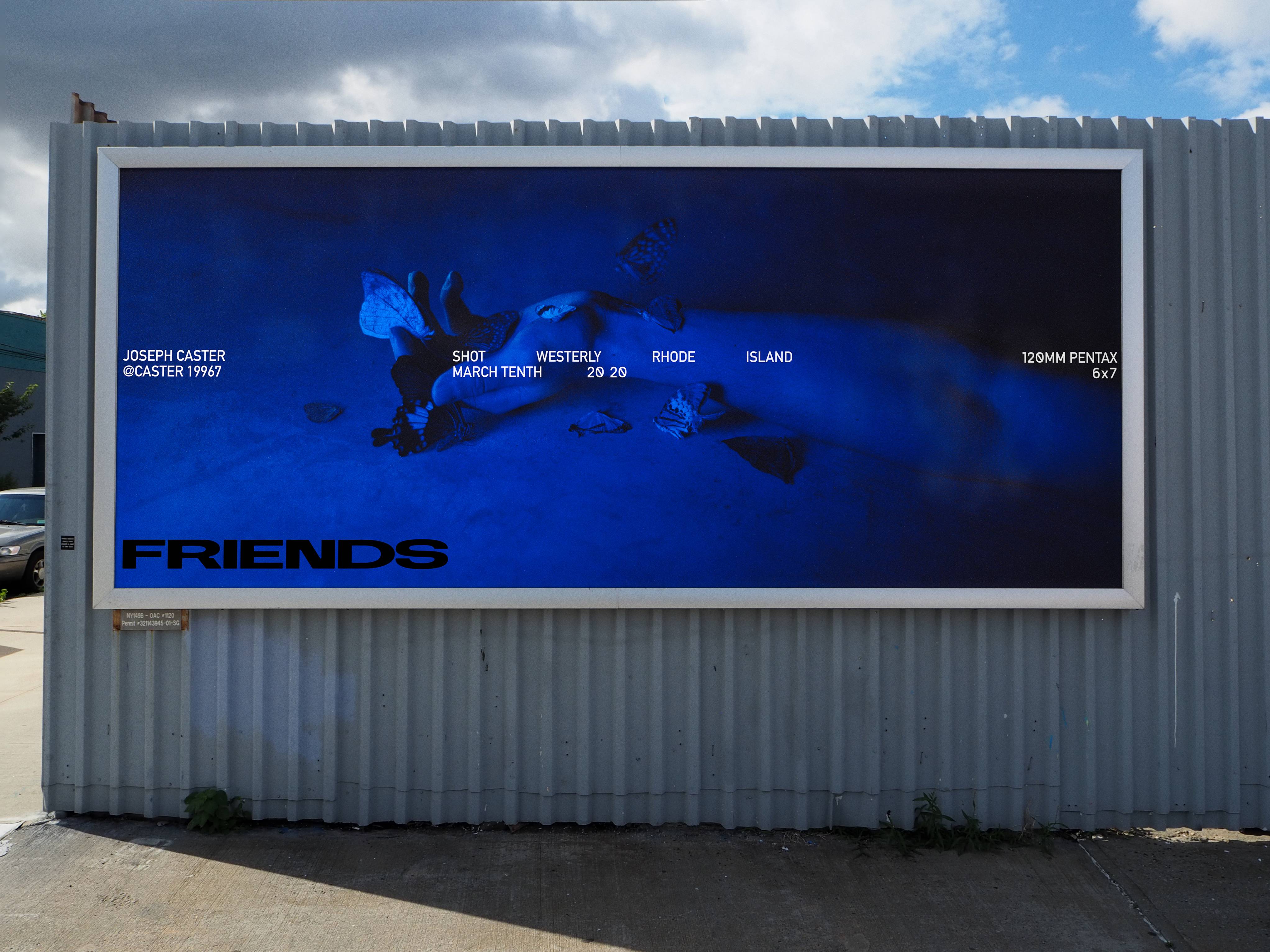 FRIENDS Future Activations