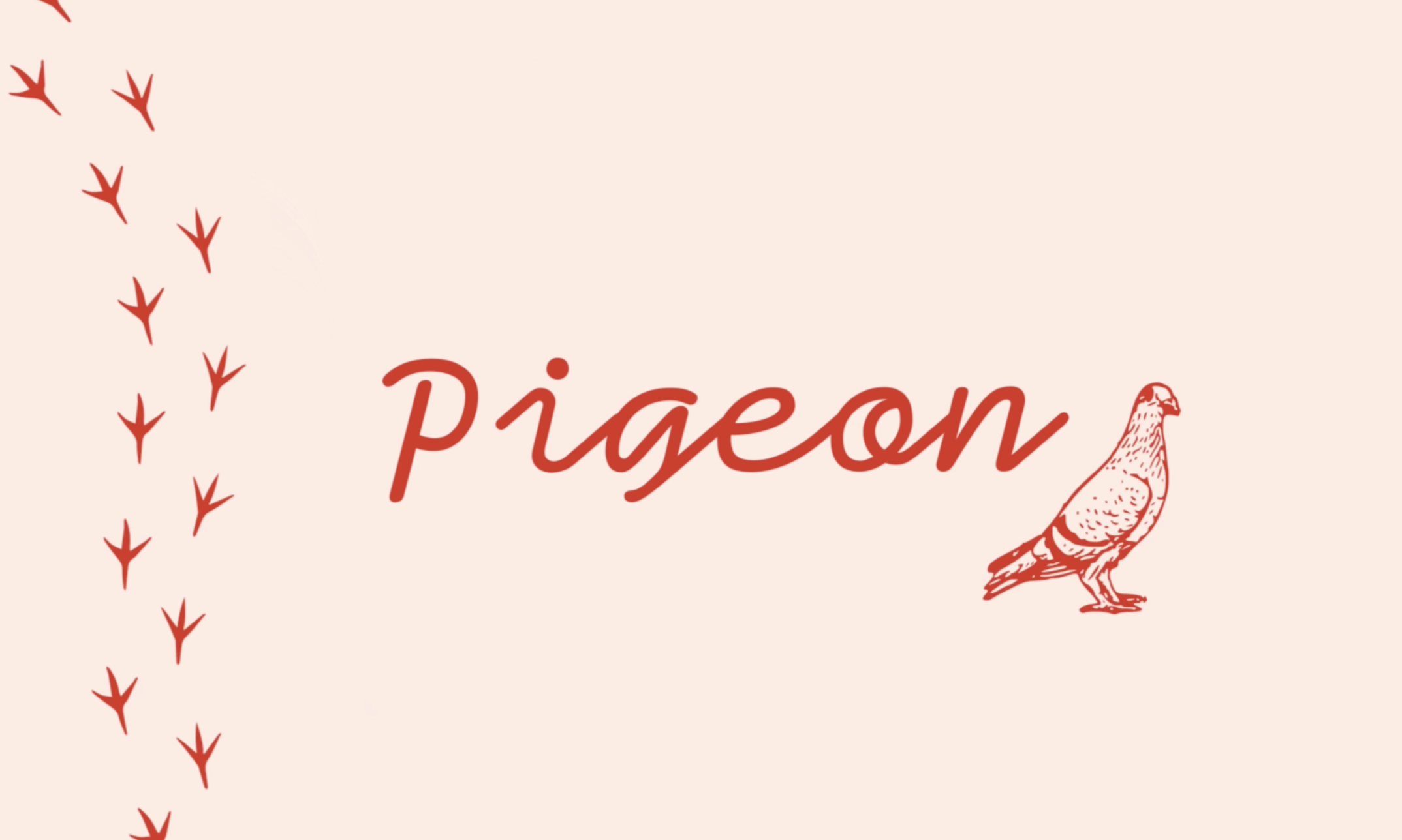 Pigeon