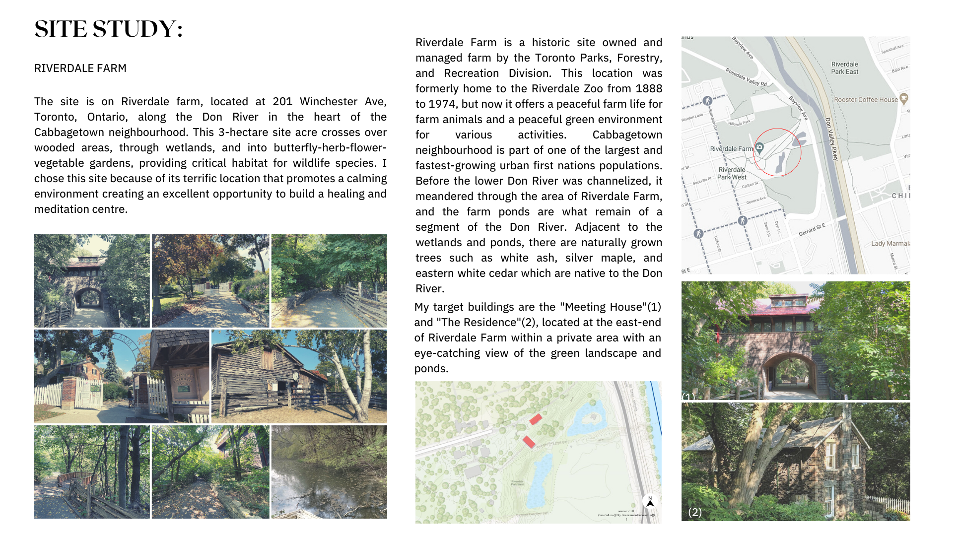 Women's Healing and Meditation Centre