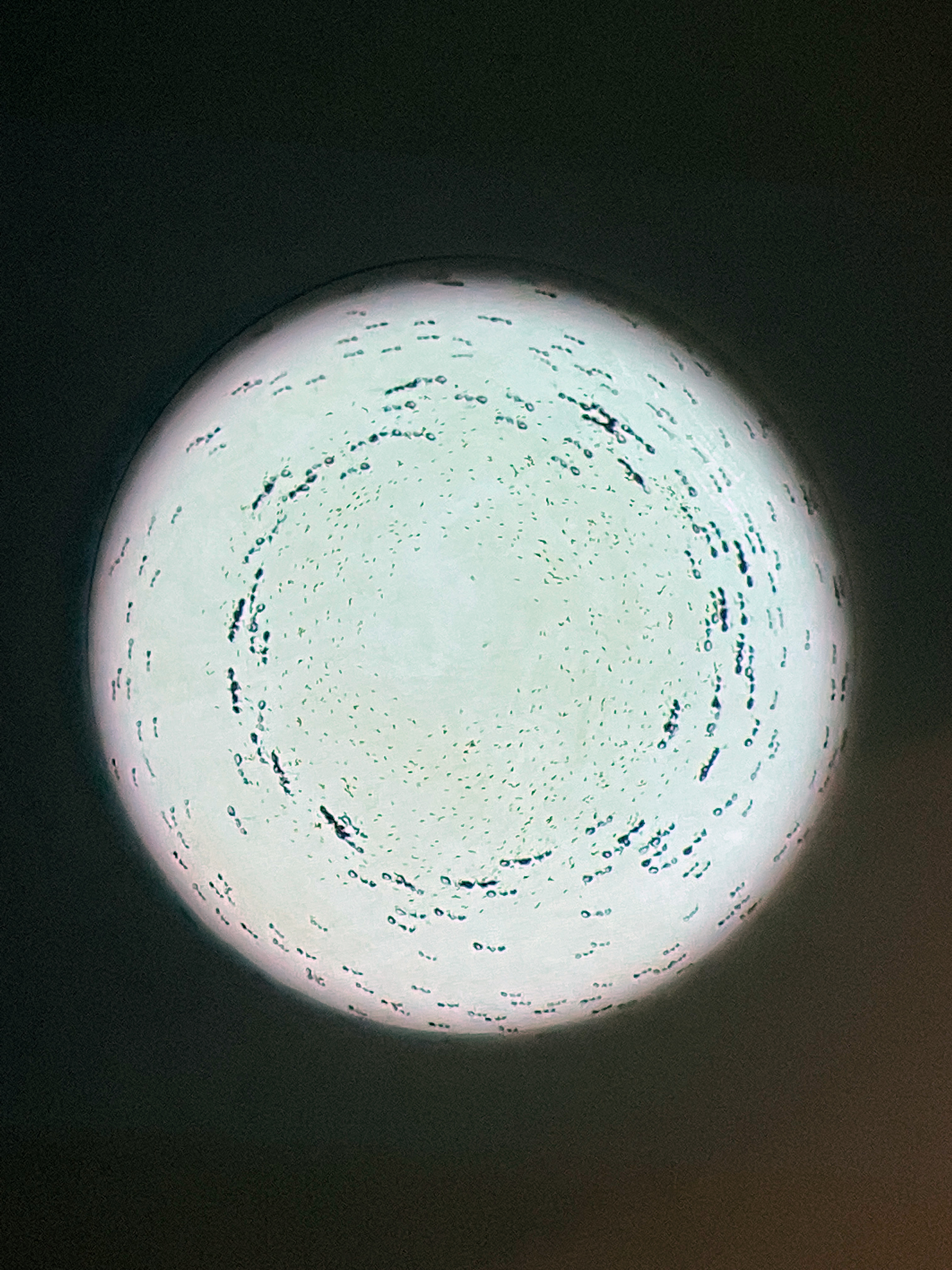 Distracted From Distraction By Distraction