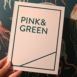 'SAMENESS' in PINK/GREEN Publication Toronto Art book Fair