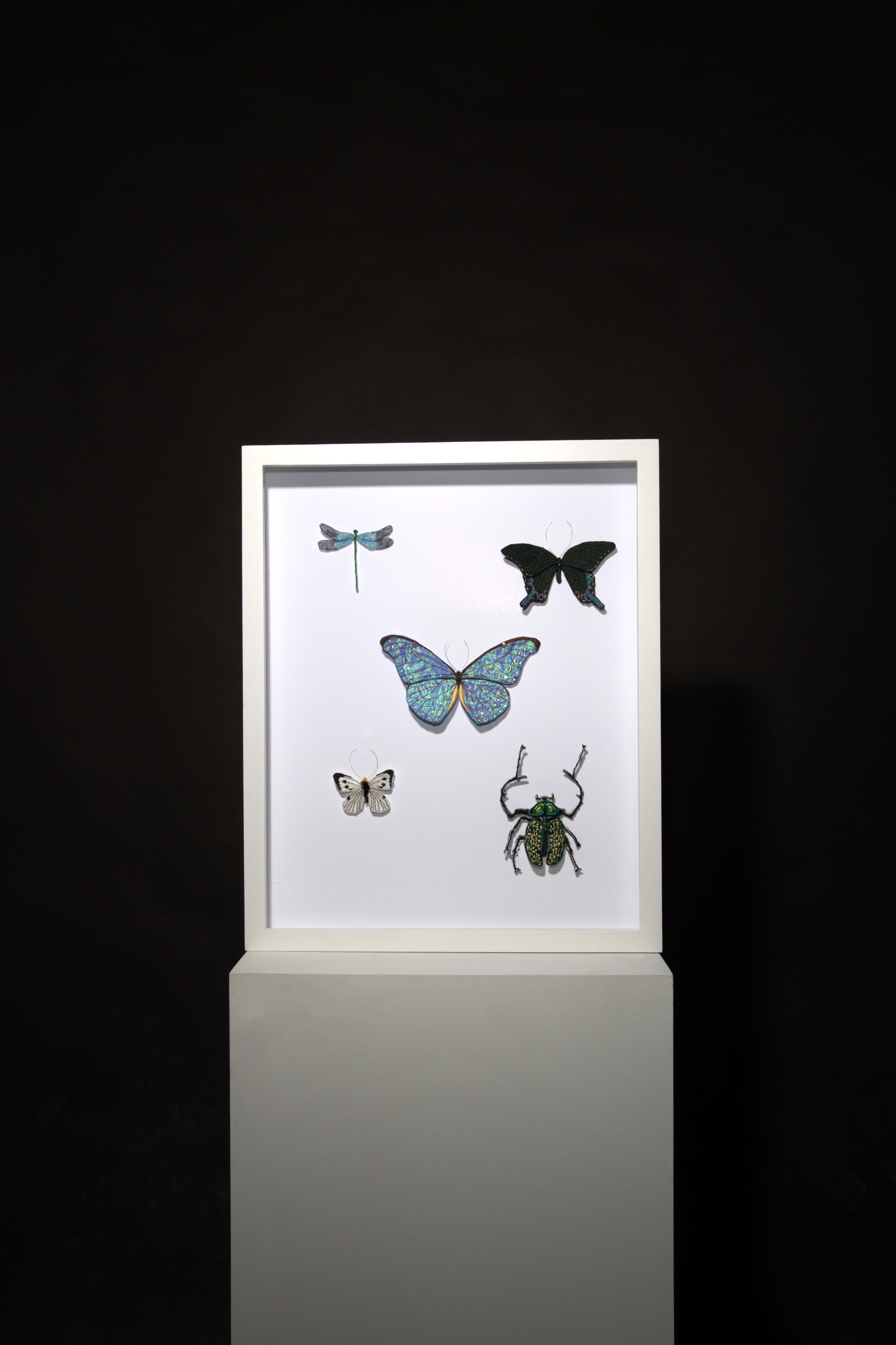 Threads of Life: A Tapestry of Endangered Insects