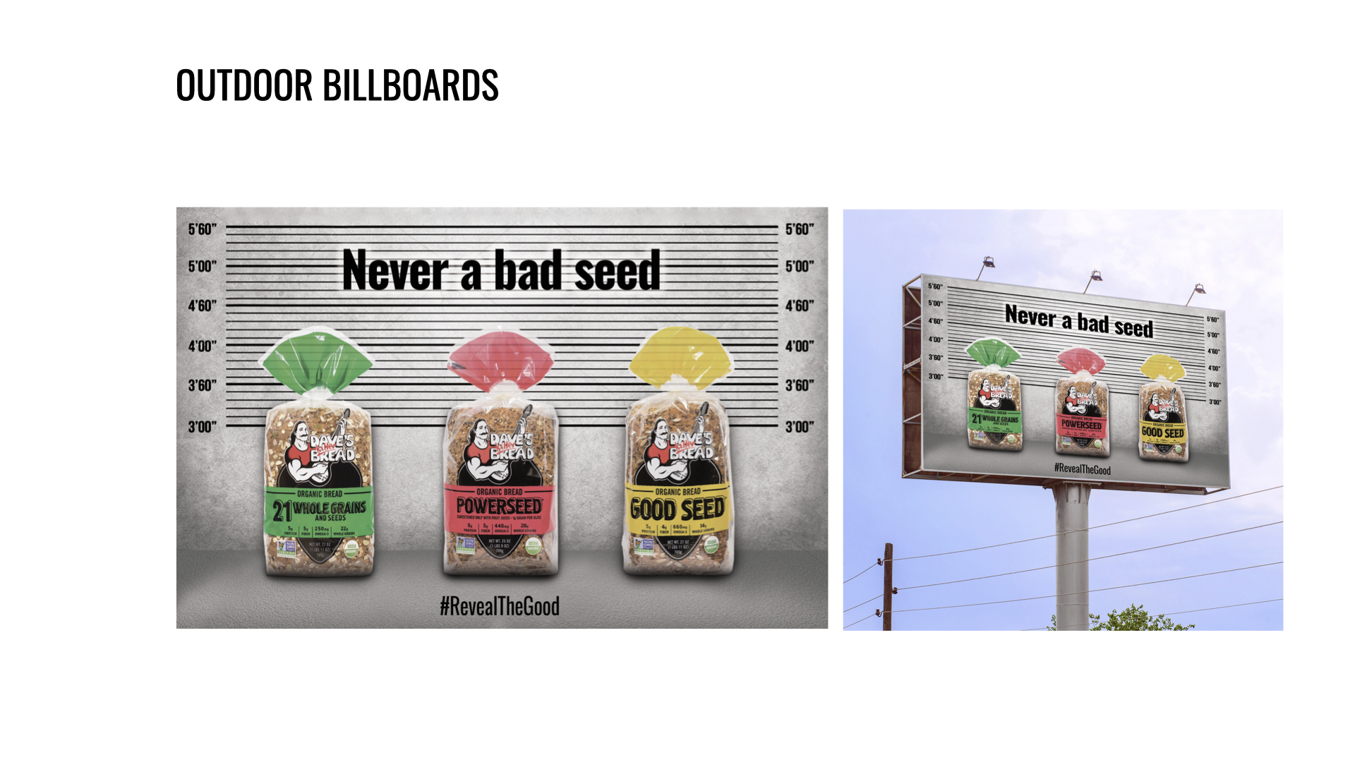 Dave's Killer Bread 5