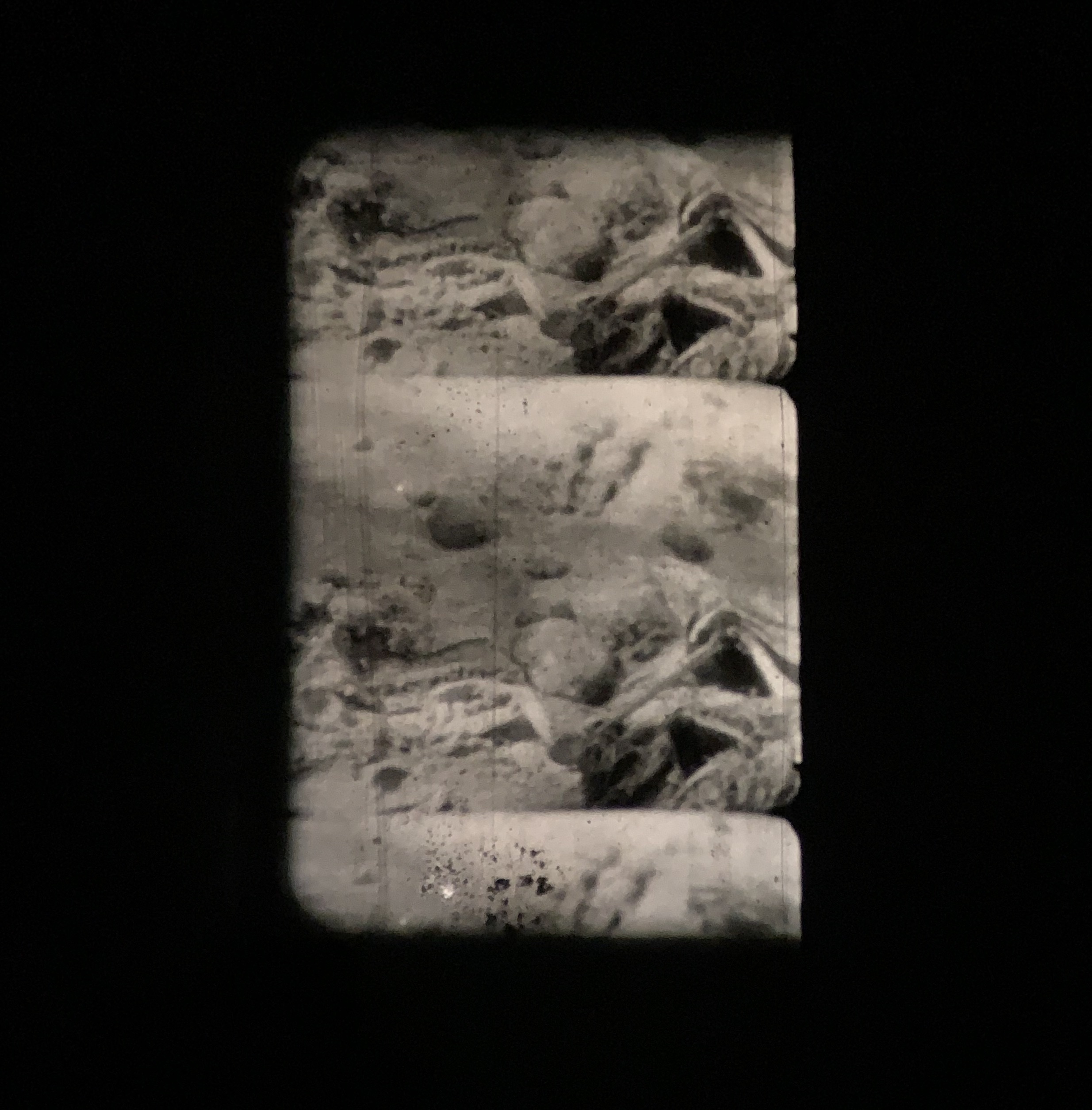 Death to nostalgia and to the tellings of my own beginnings