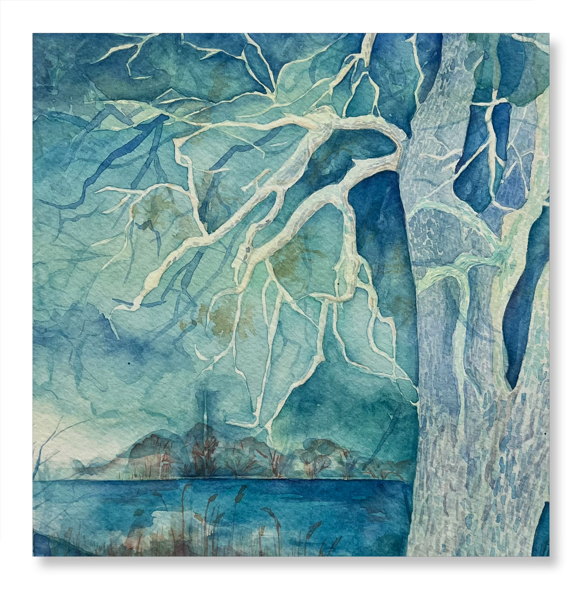 His tree No.2